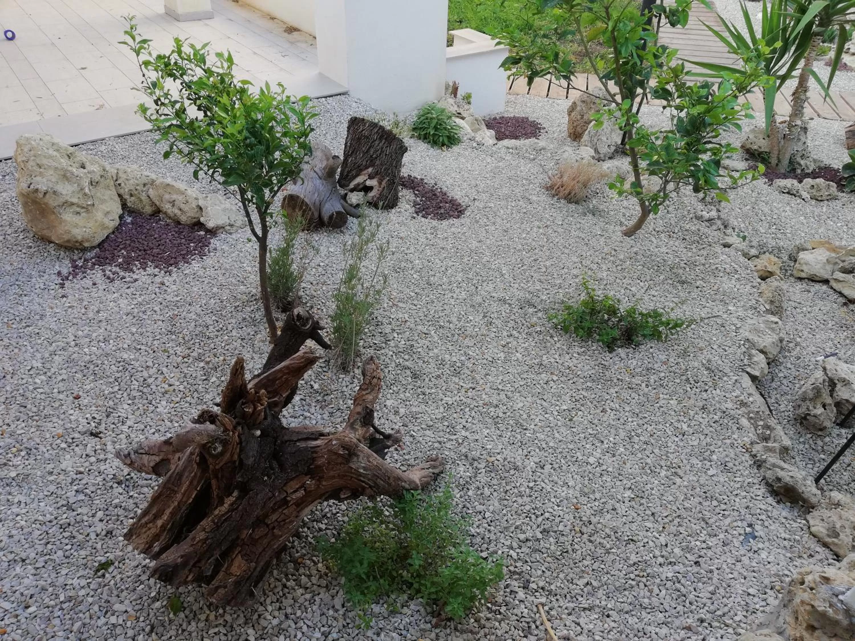 Garden in B&B Villa Kairos