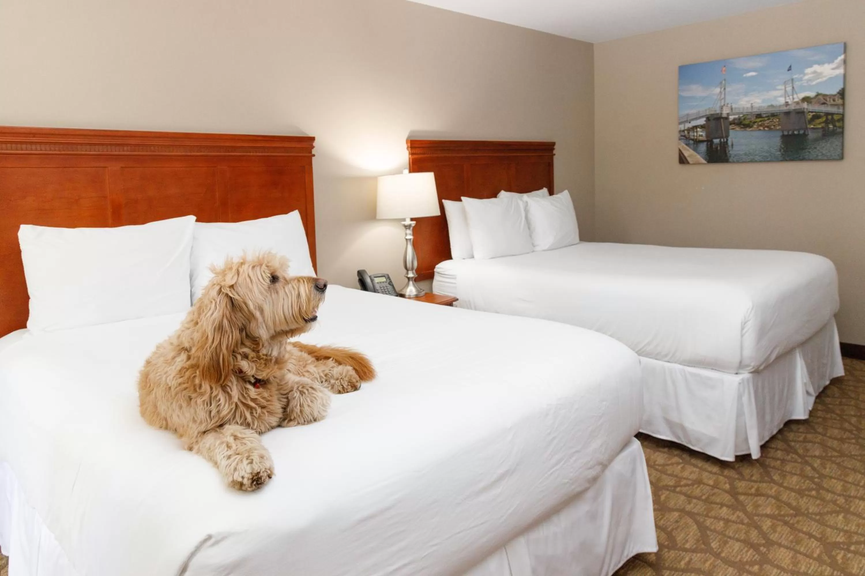 Bedroom, Bed in Admiral's Inn Resort