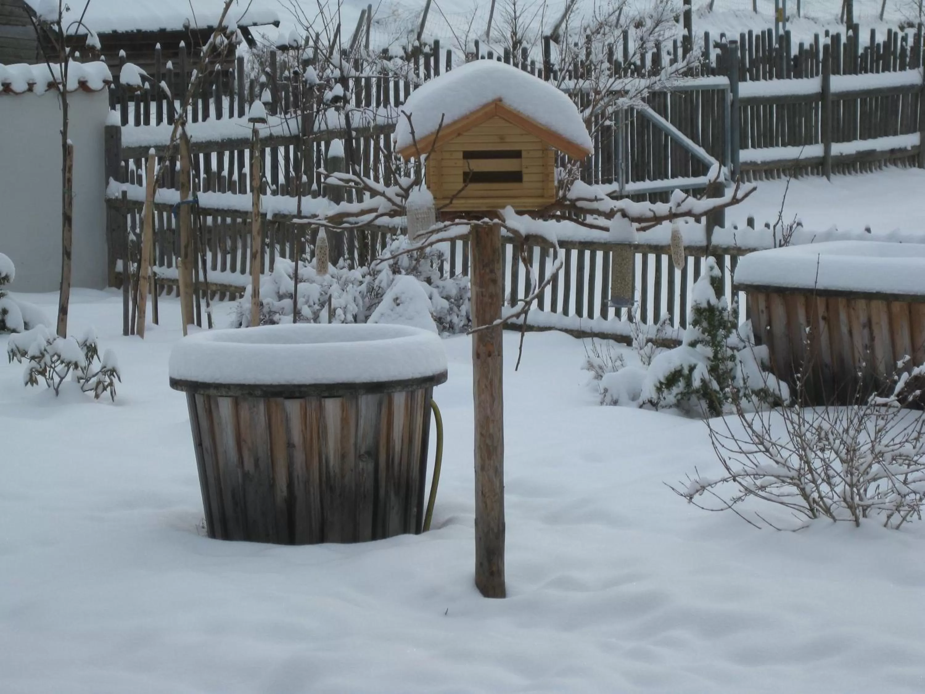 Winter in Suzanne's B&B & Gardens