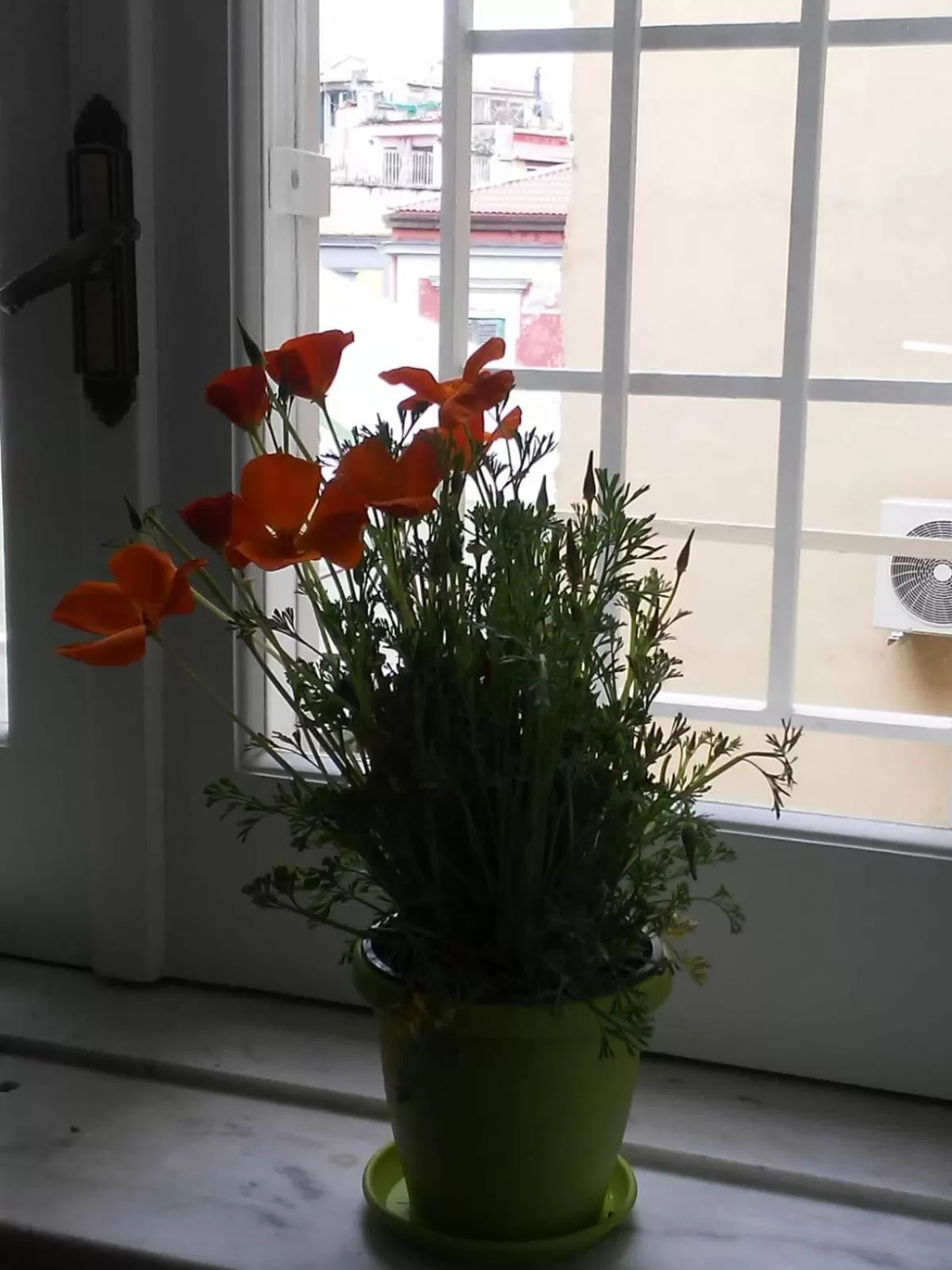 B&B Napoli Ruck&Maul