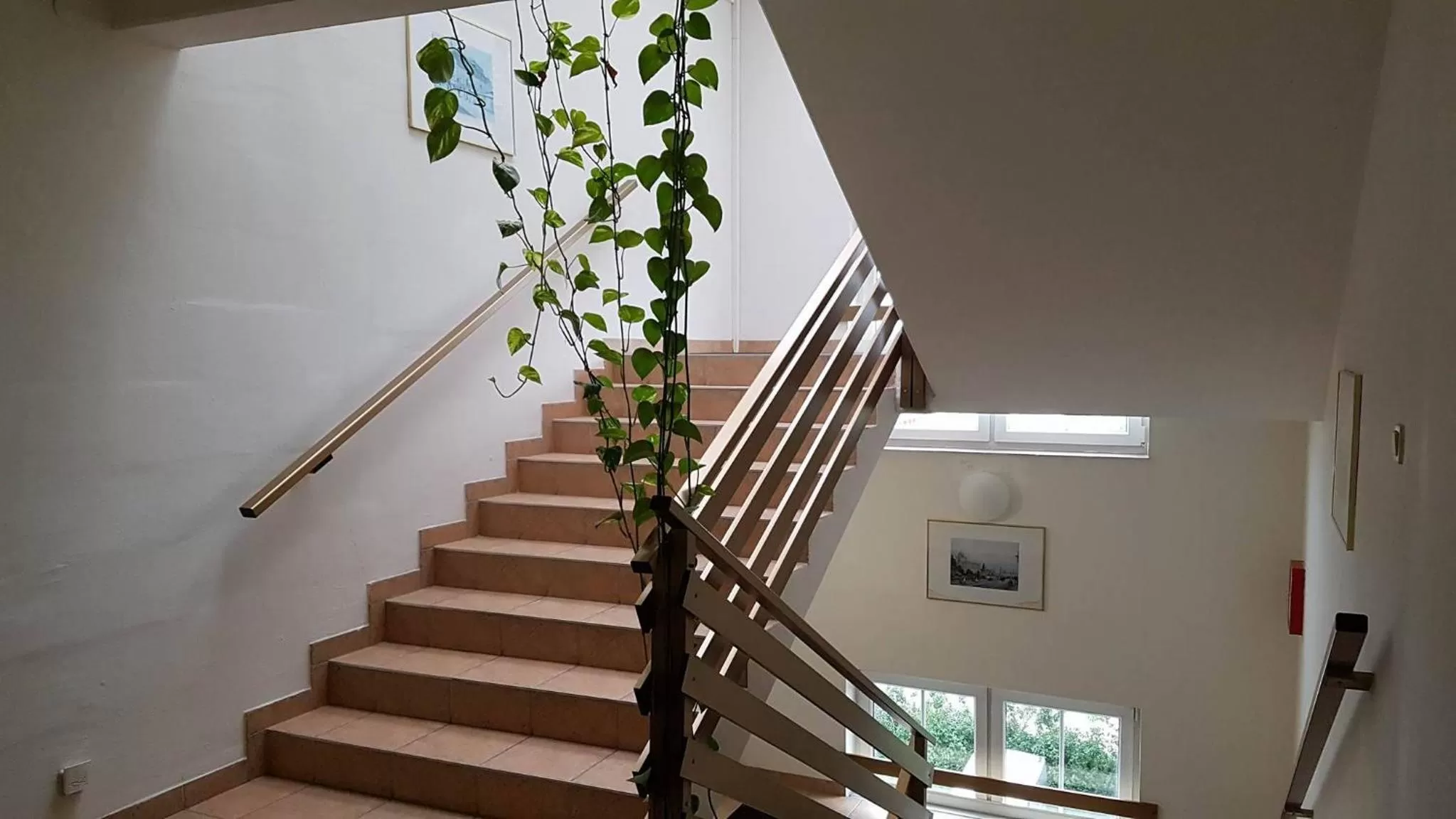 Other in OEKOTEL Traiskirchen