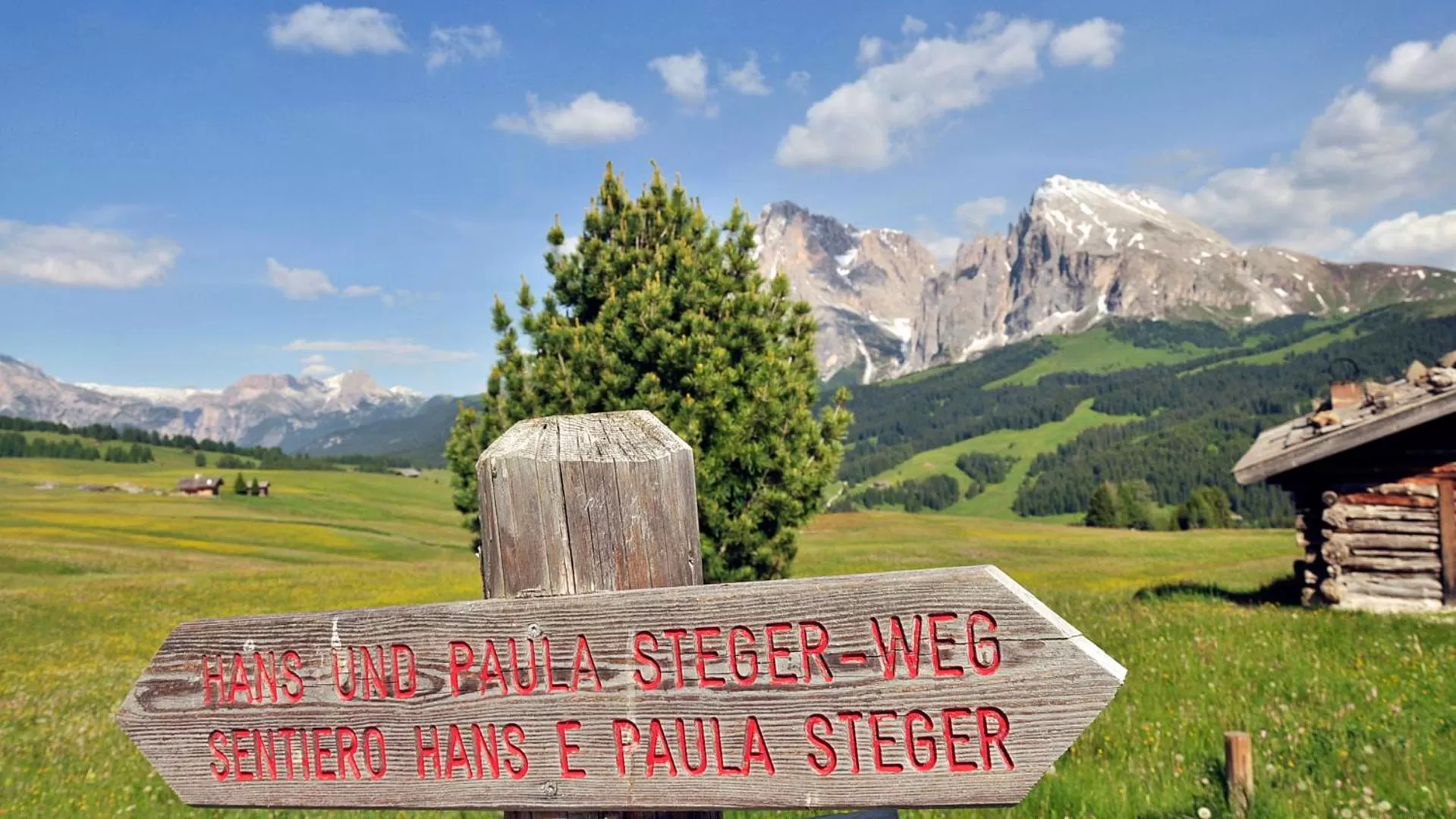 Hiking in Activehotel Diana