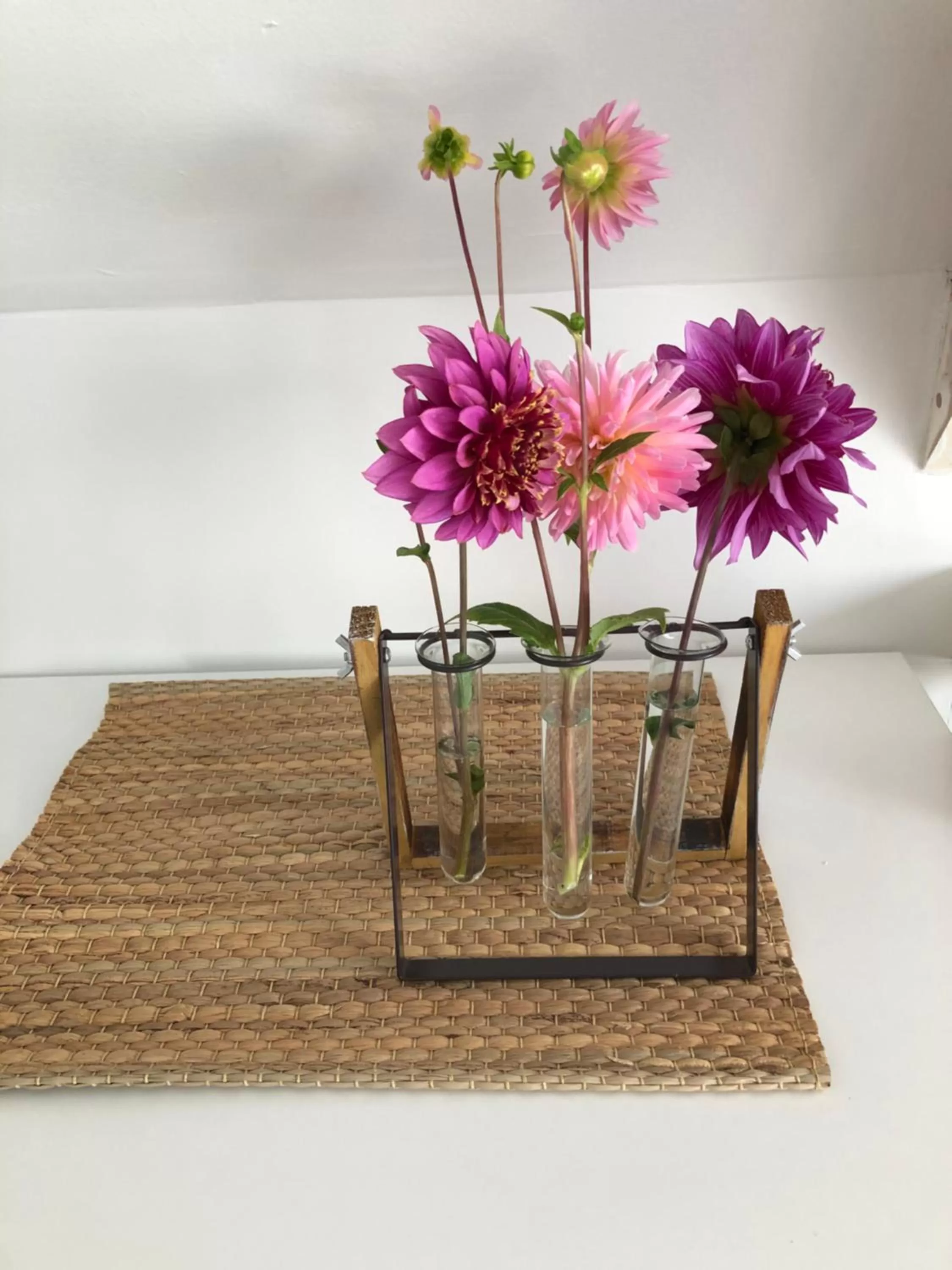 Decorative detail in Het Doktershuys