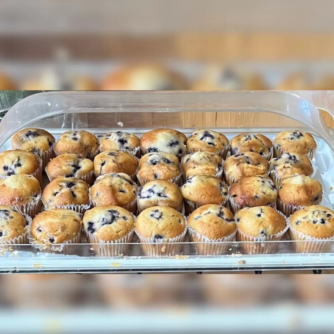 Landmark Lookout Lodge