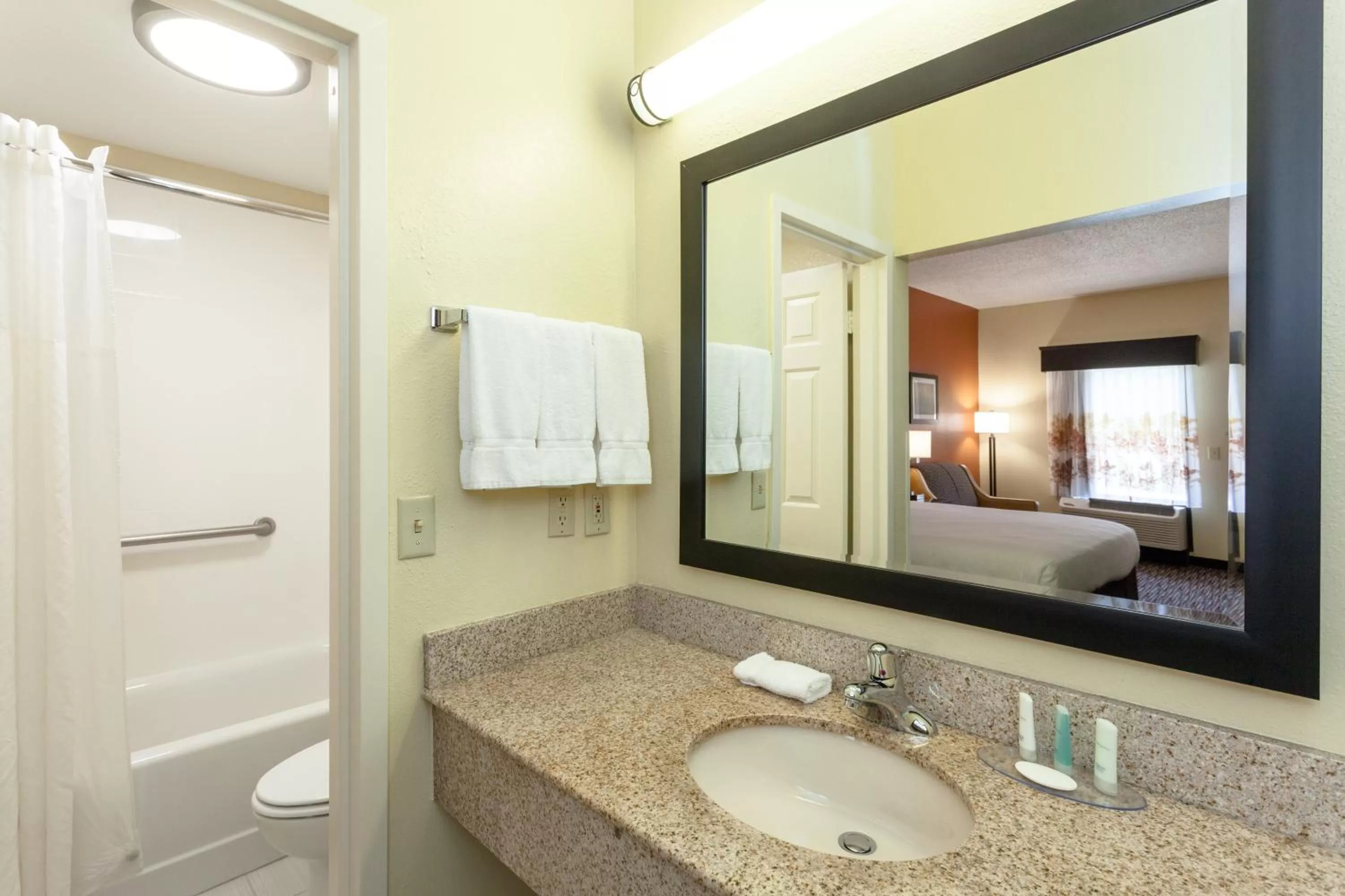 Bathroom, Bed in Clarion Inn Biltmore Village