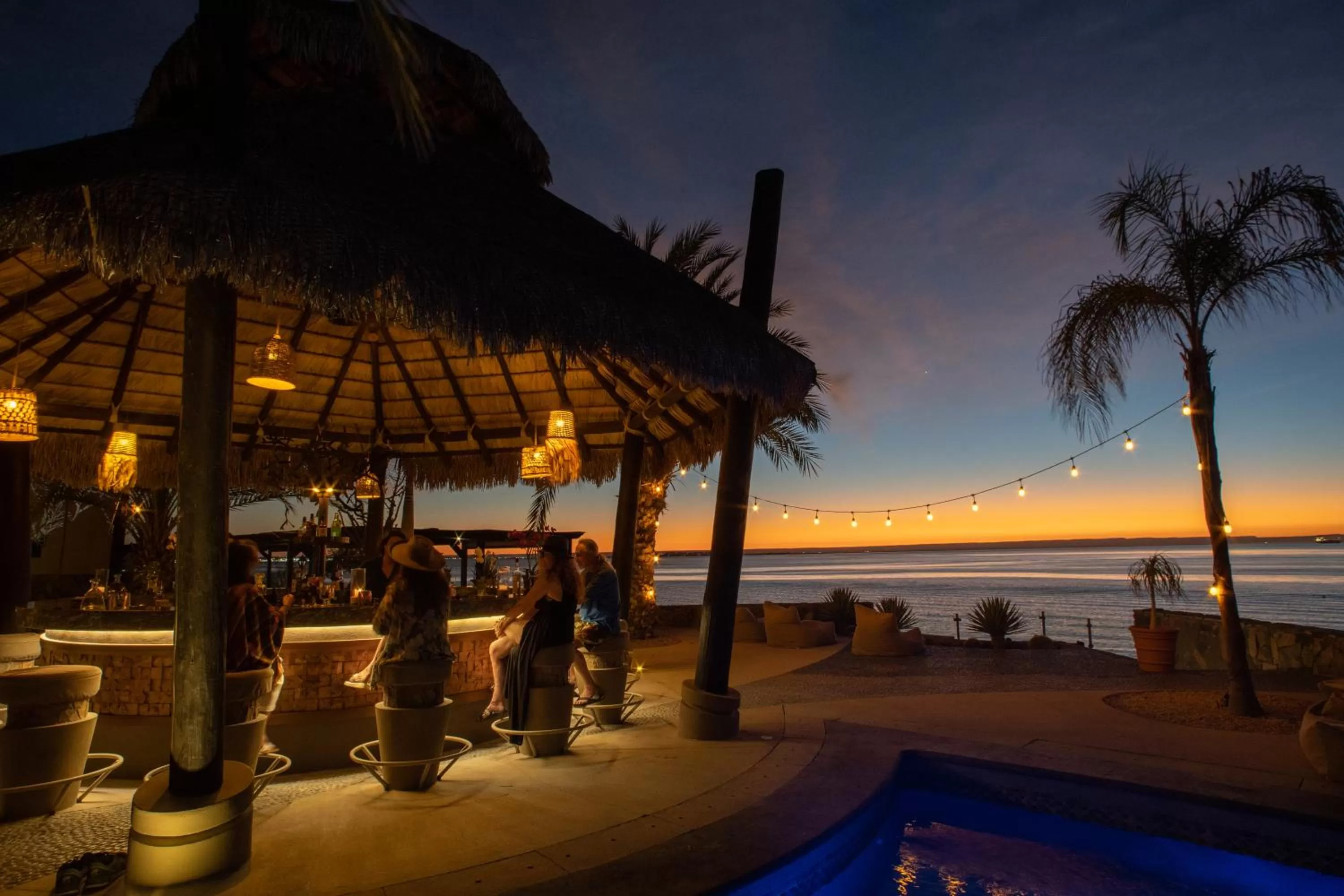 Lounge or bar in Orchid House Baja