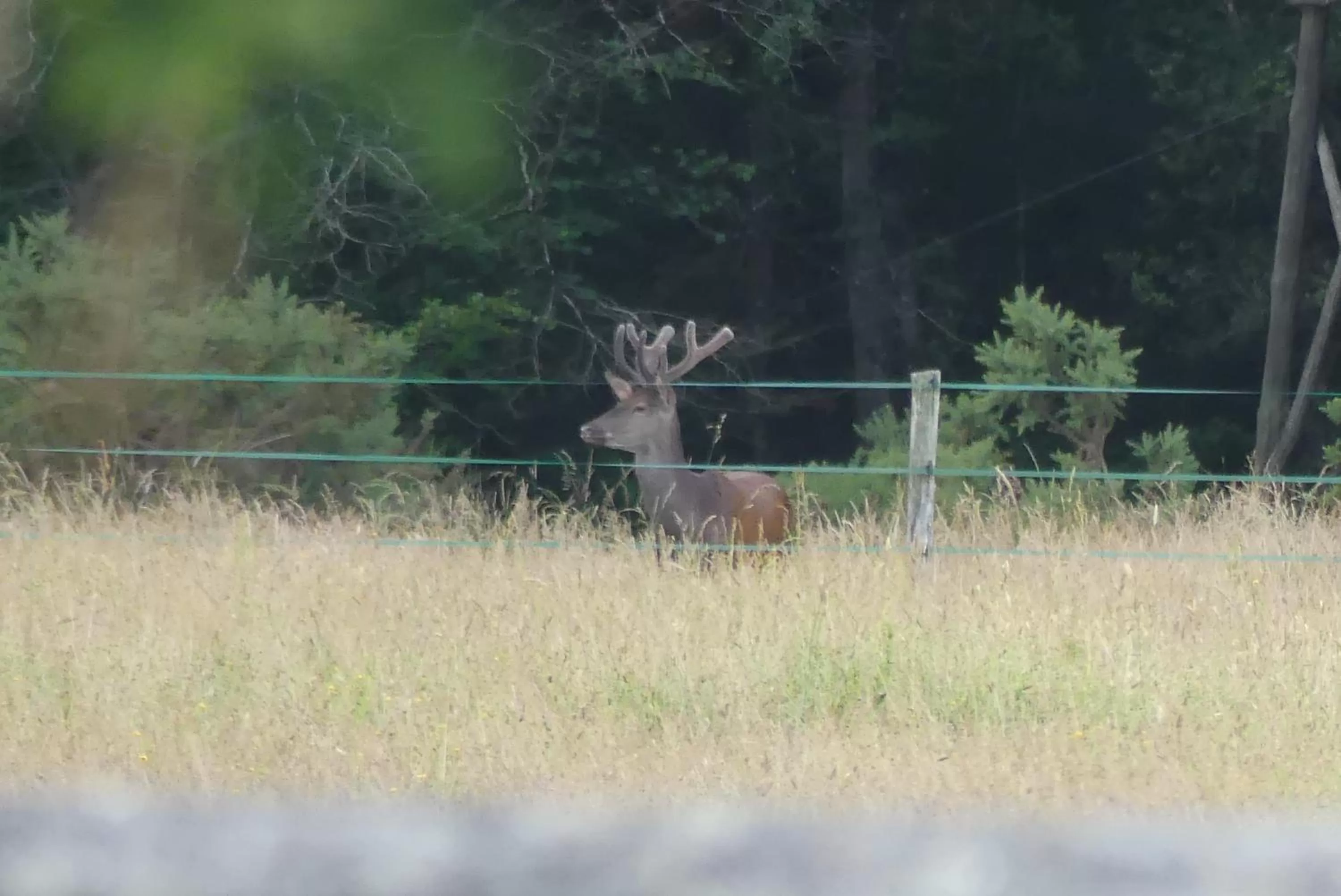 Chambres et Table d'Hôtes Les Machetières