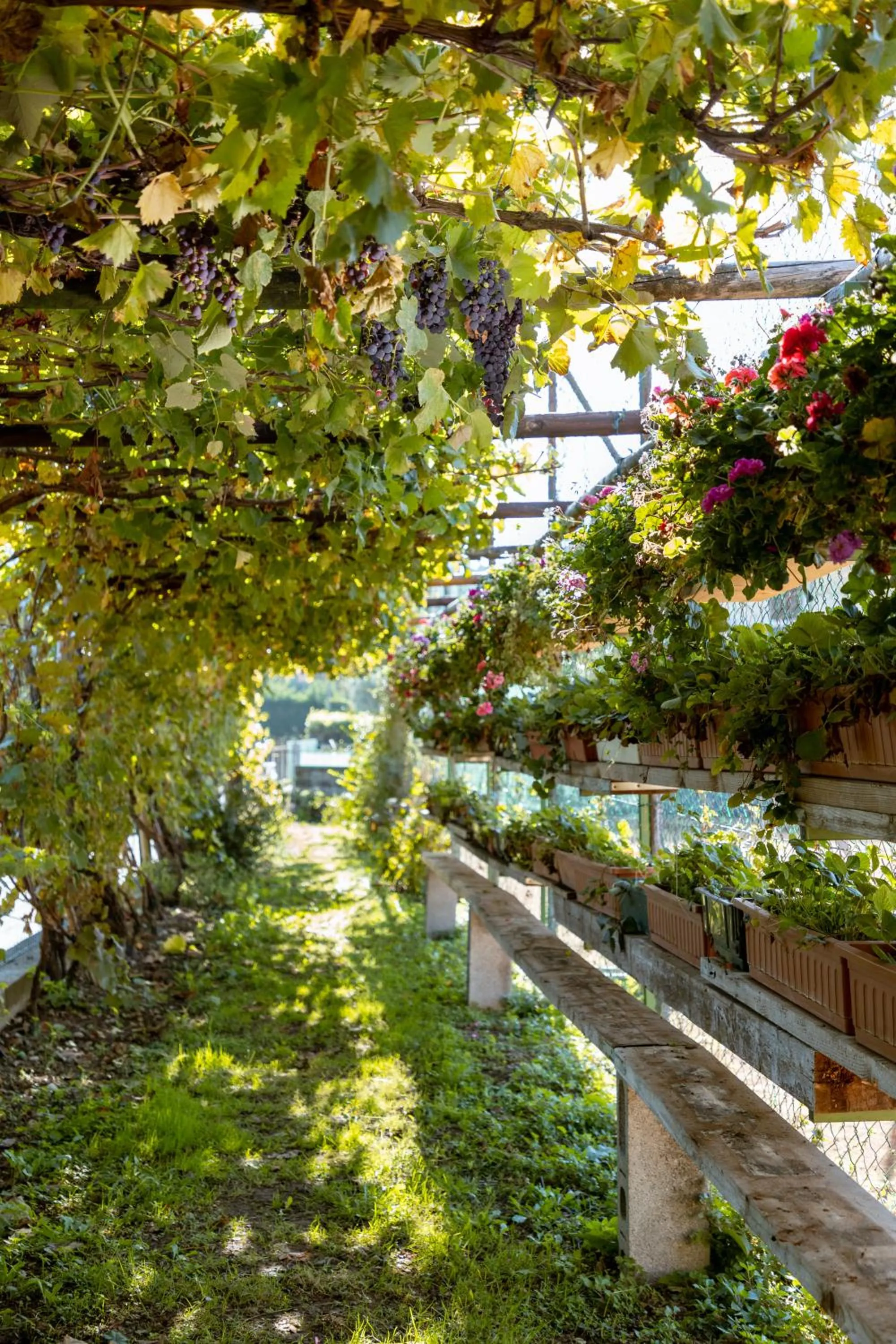 Day in La Quiete Park Hotel