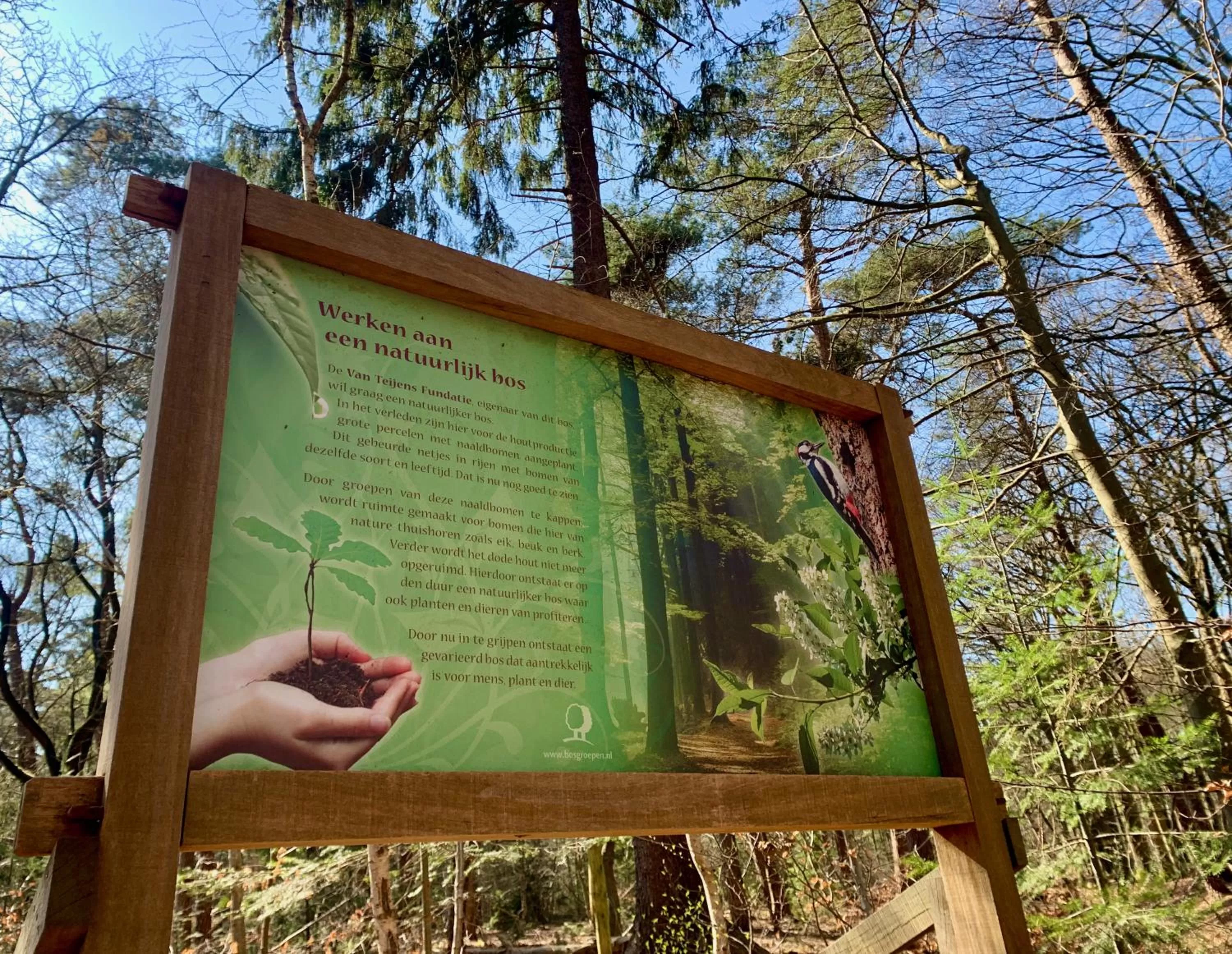 Natural landscape in BnB It Hazzeleger Beetsterzwaag