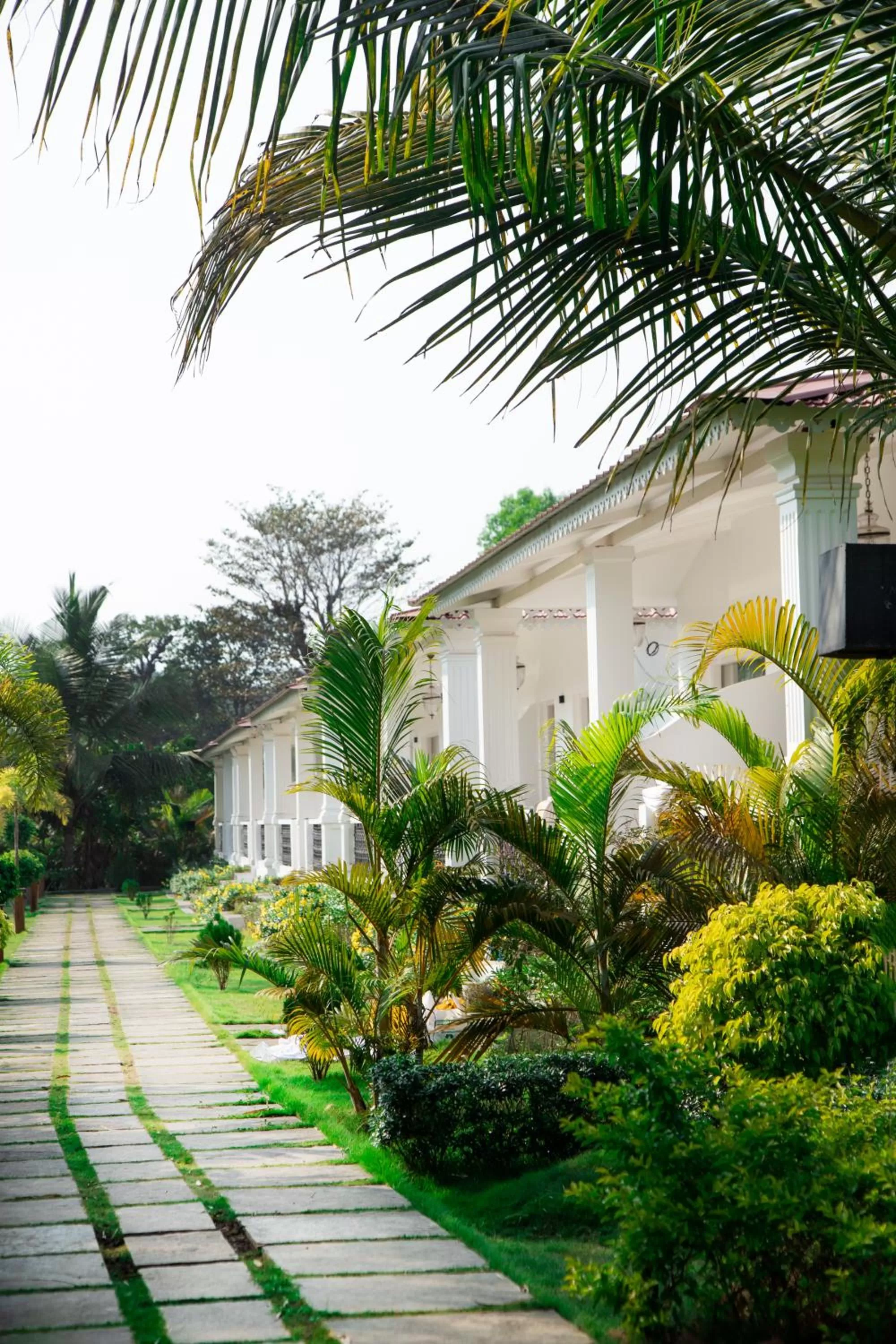 Property building in Wild Berry Resort Agonda