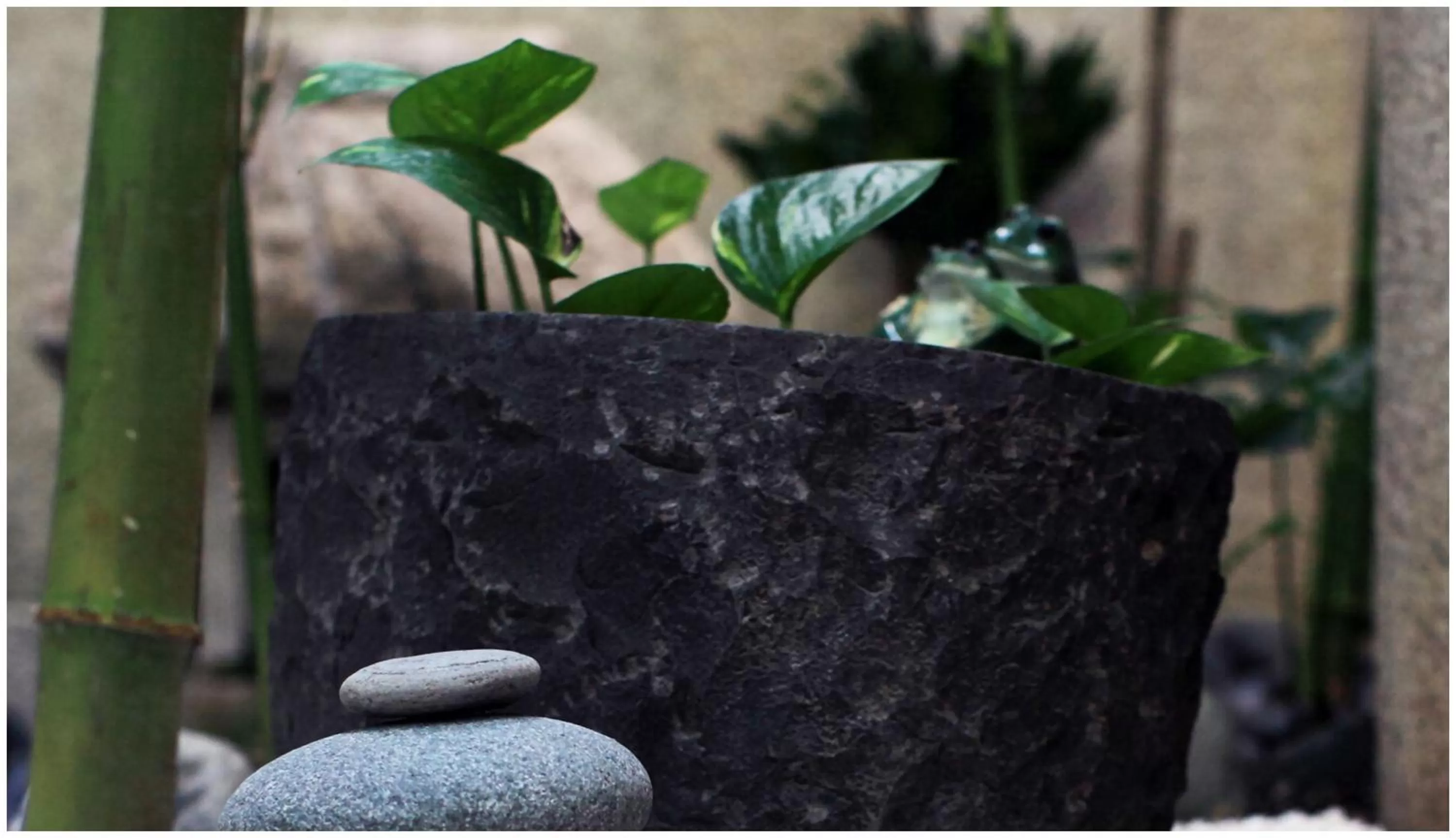 Decorative detail in Errantry Lodge & Studio