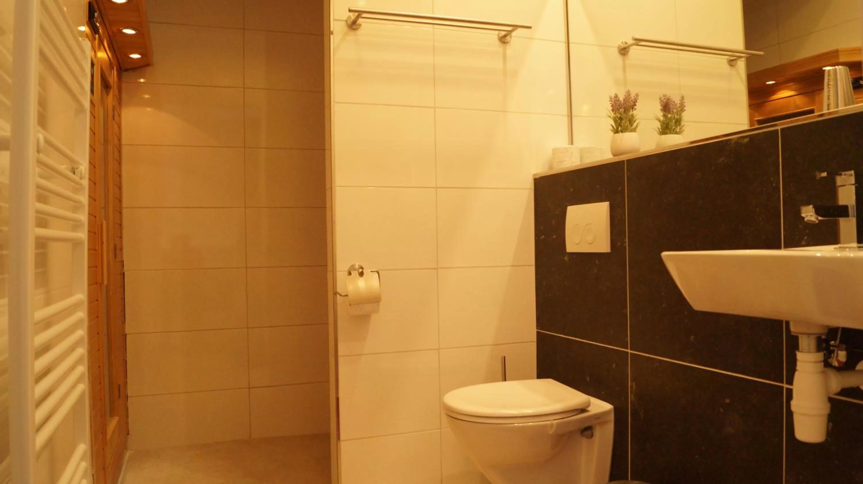 Shower in B&B Johannes-Hoeve