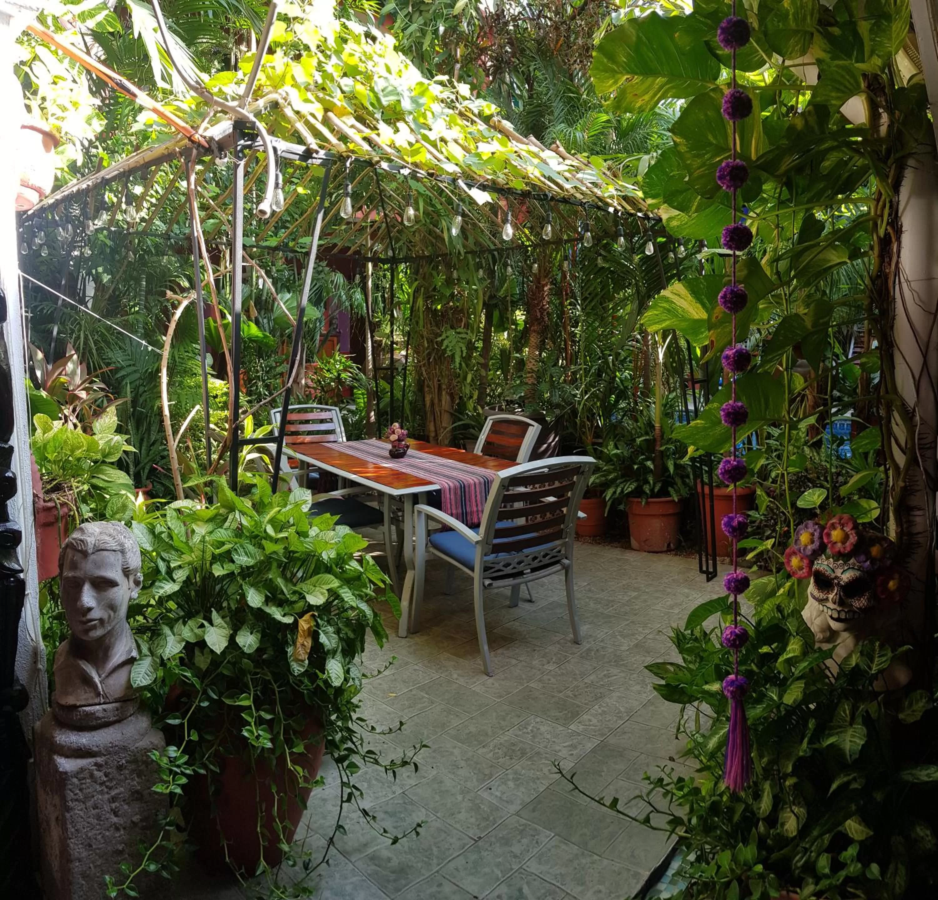 Garden in Hotel Boutique Casona Maya Mexicana