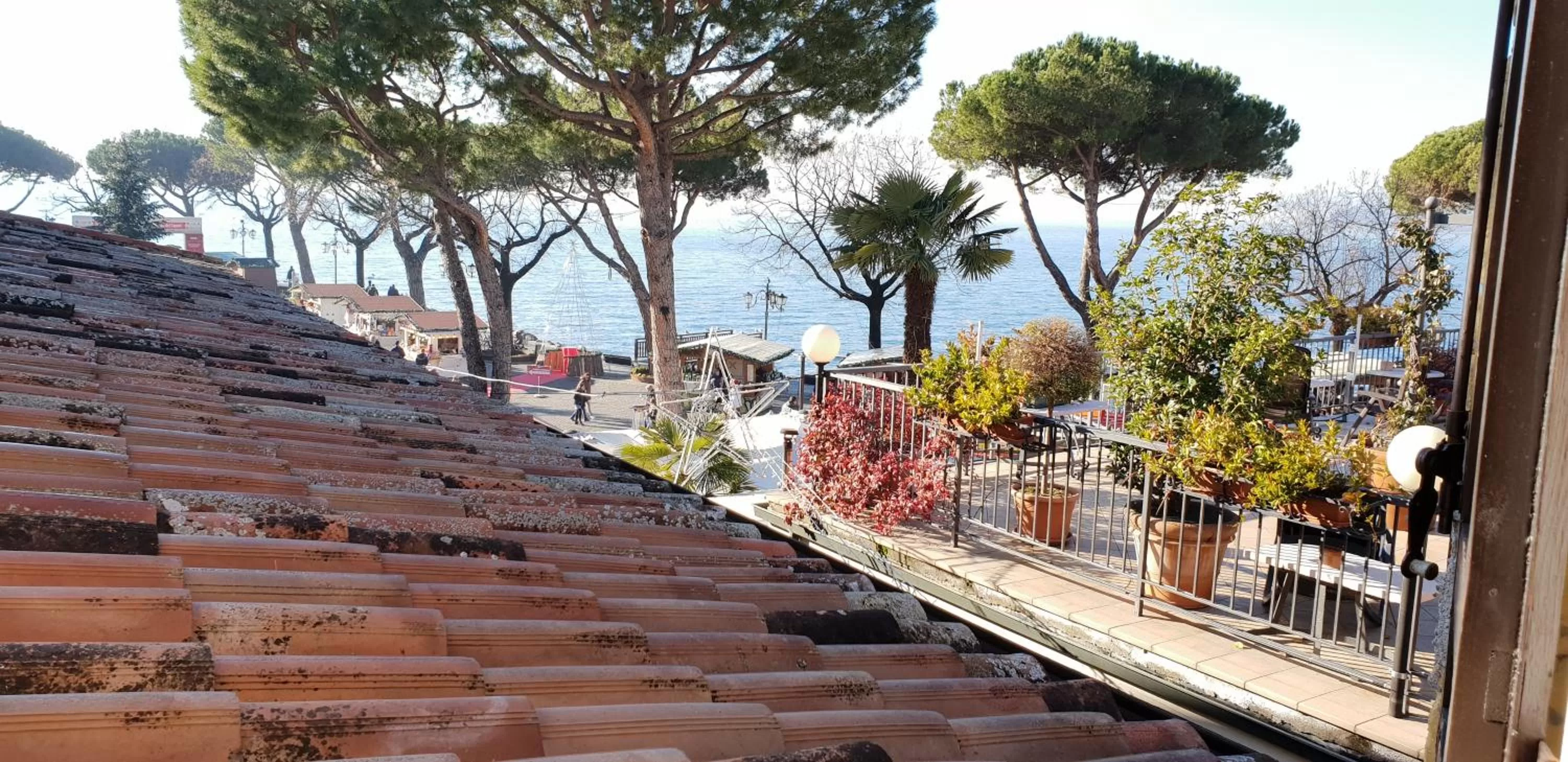 Natural landscape in Casa Lady