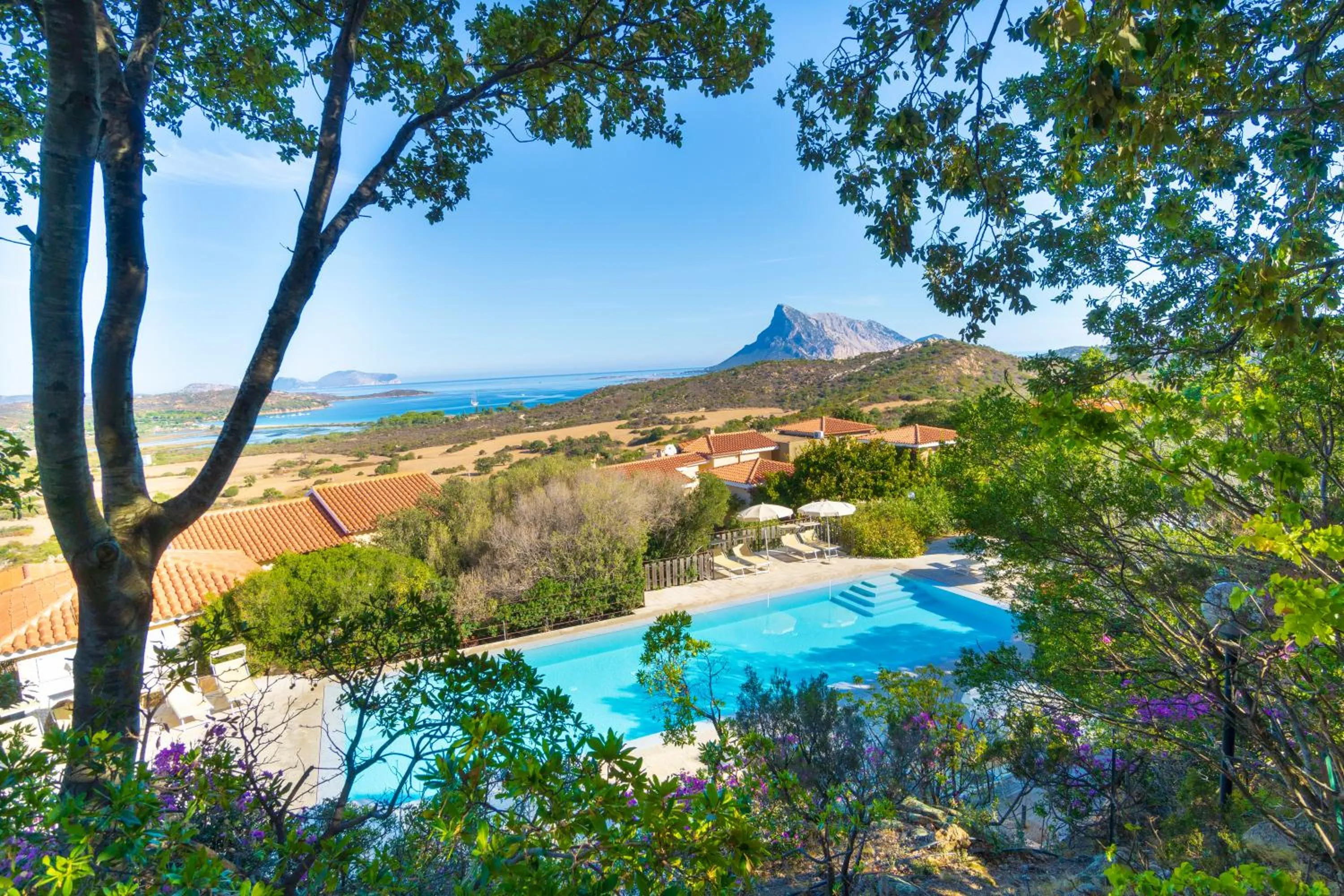 Swimming pool in Residence Hotel Lu Nibareddu