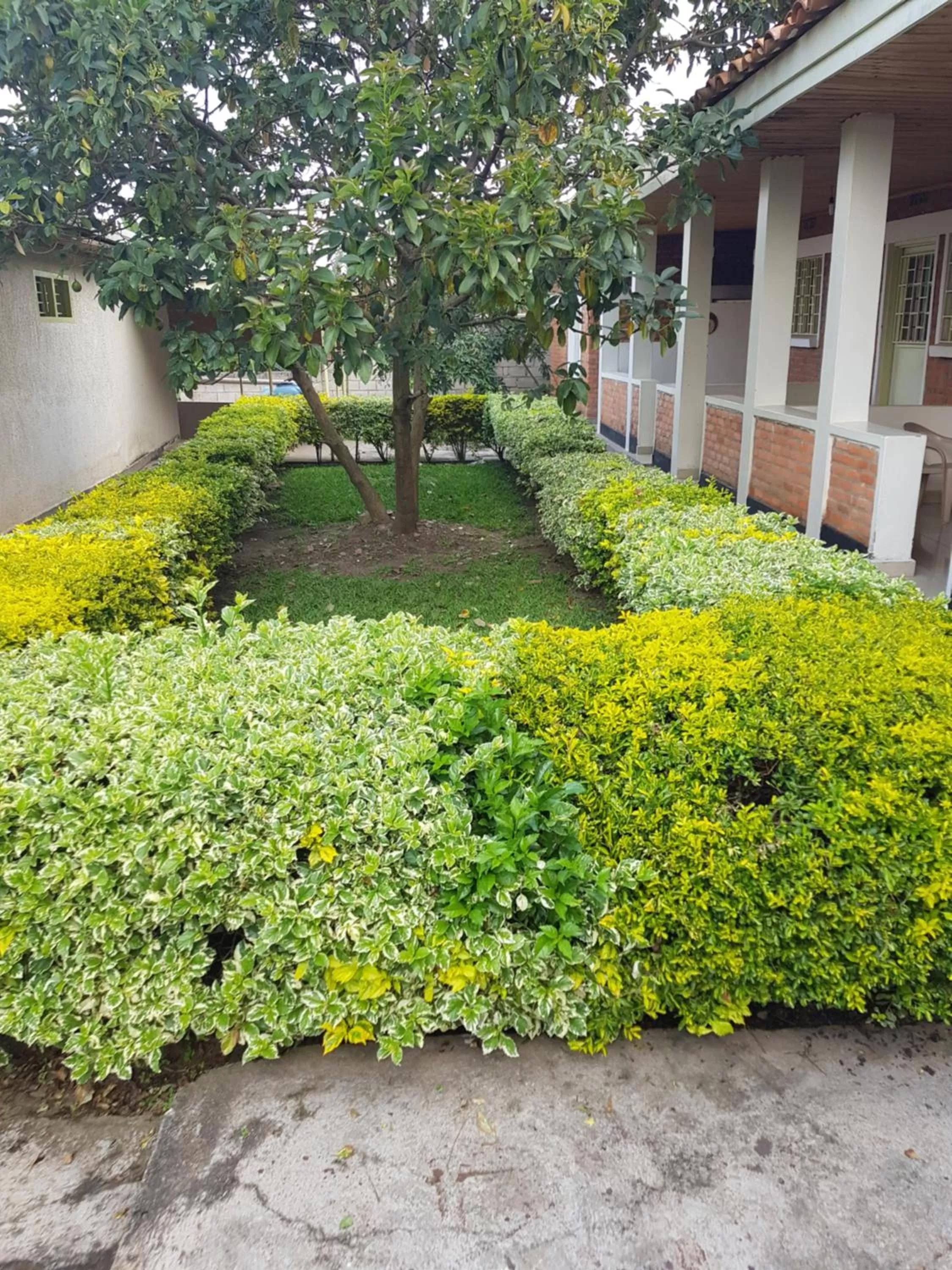 Garden view in Rebero Kivu Resort