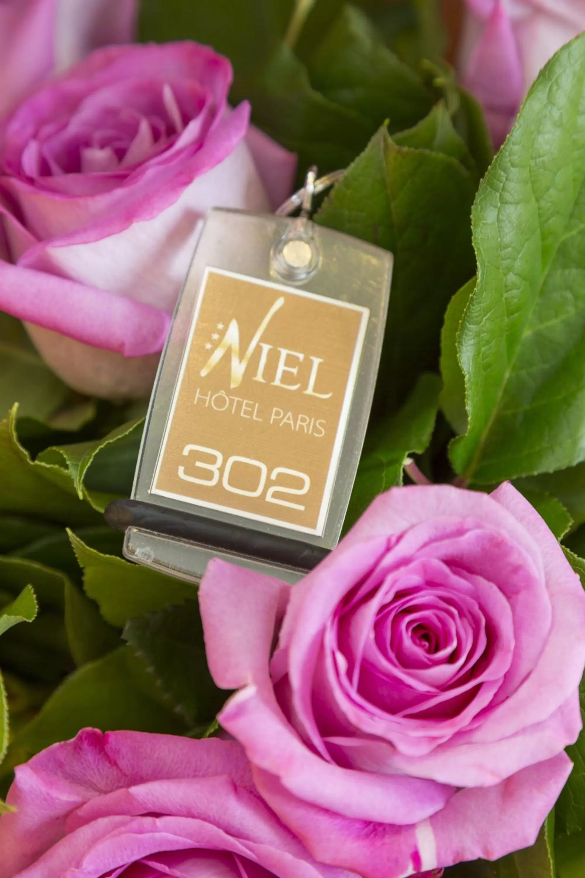 Decorative detail in Elysees Niel Hotel