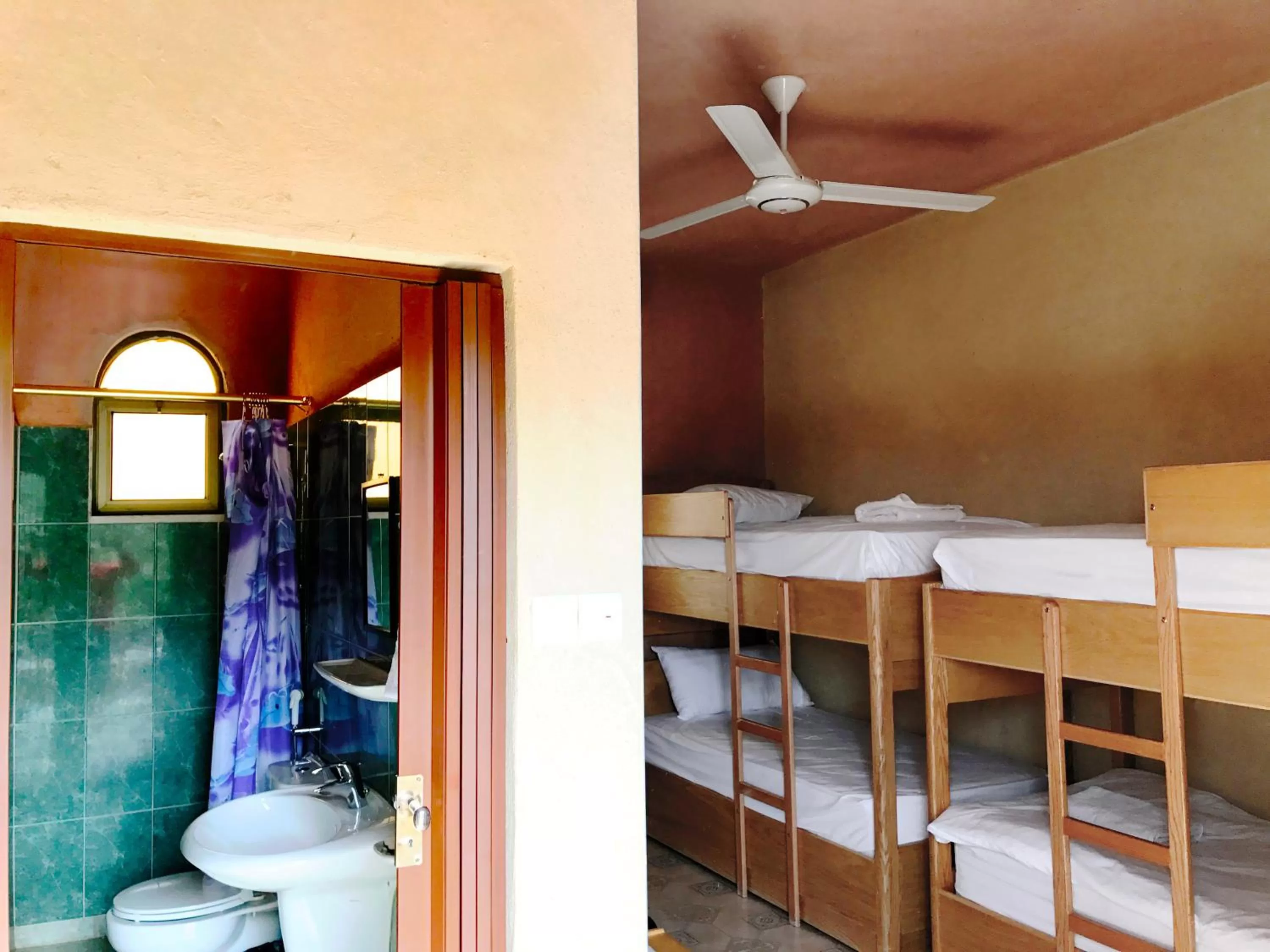 bunk bed, Bathroom in Arab Divers Dive Center and Bed & Breakfast