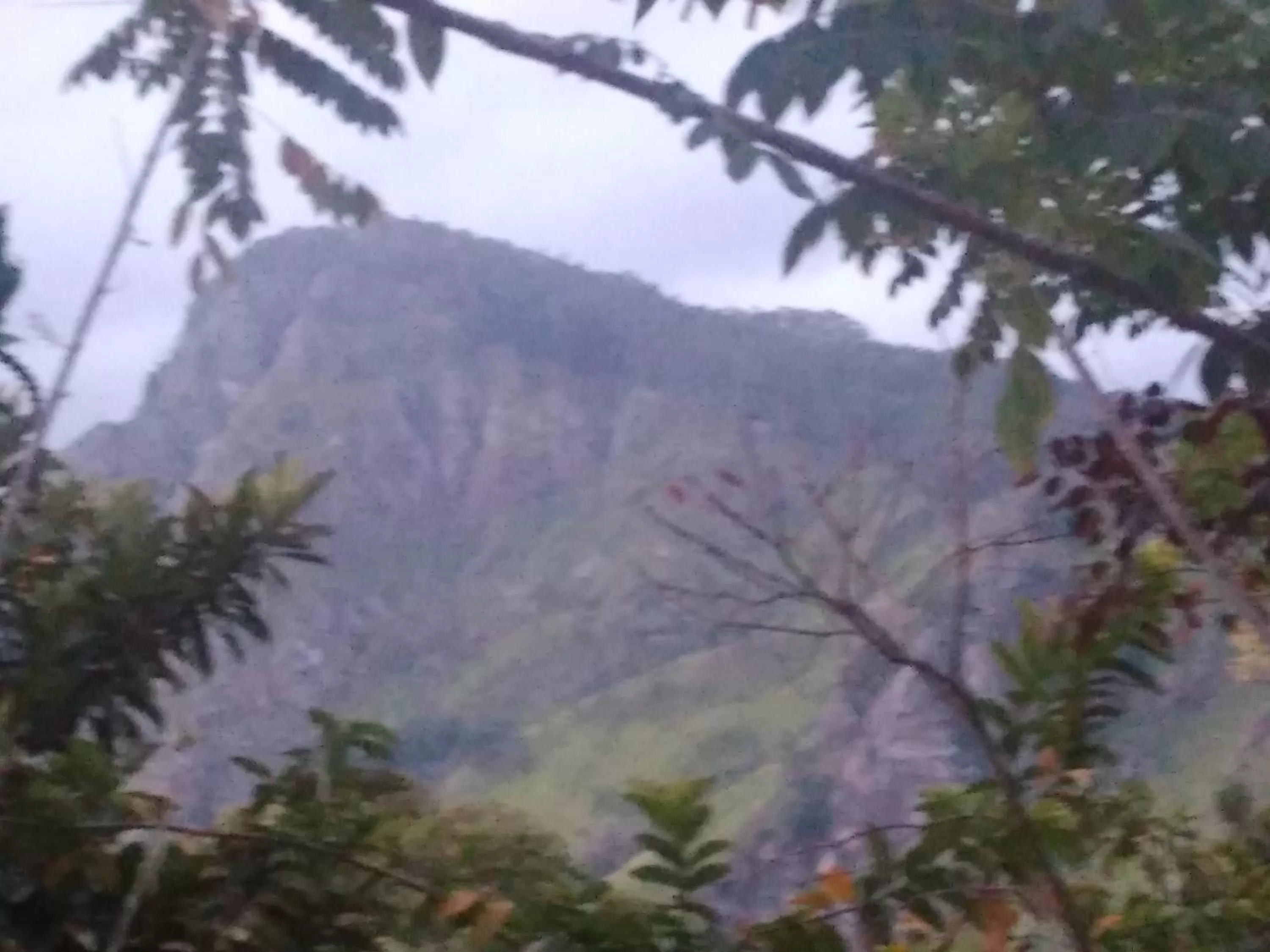 Mountain View in Felicity Inn