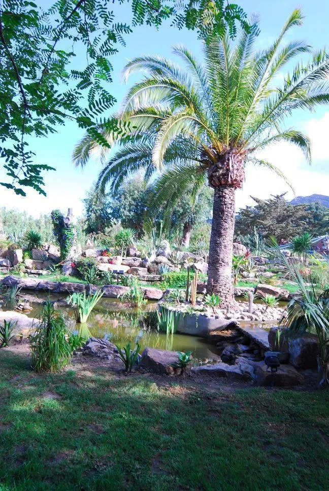 Garden in Hotel Punta Sur