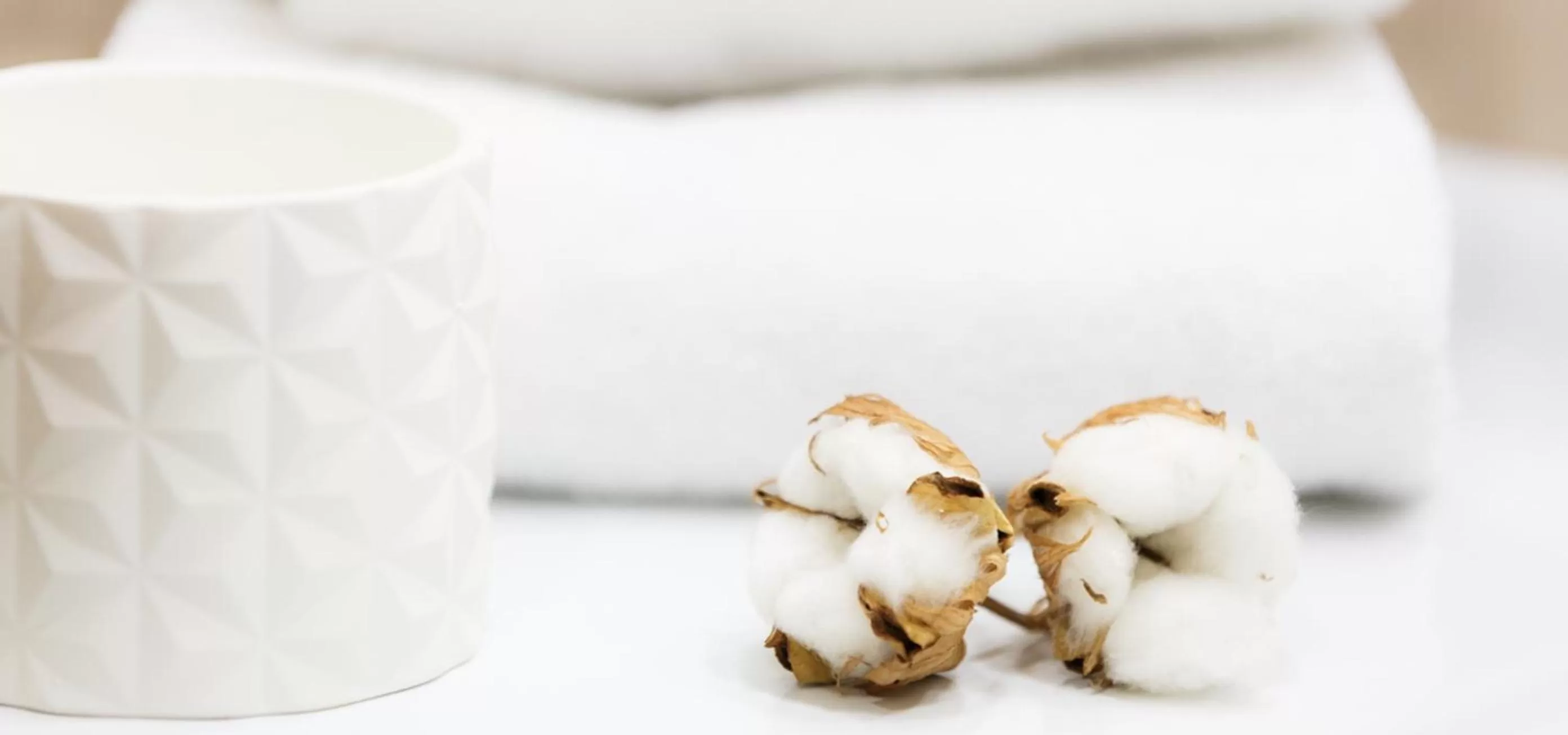 Other in Hotel Condes de Haro