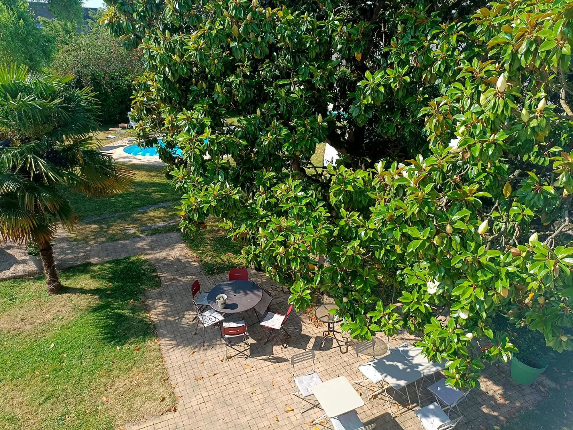 Le Magnolia, chambre d'hôte au calme