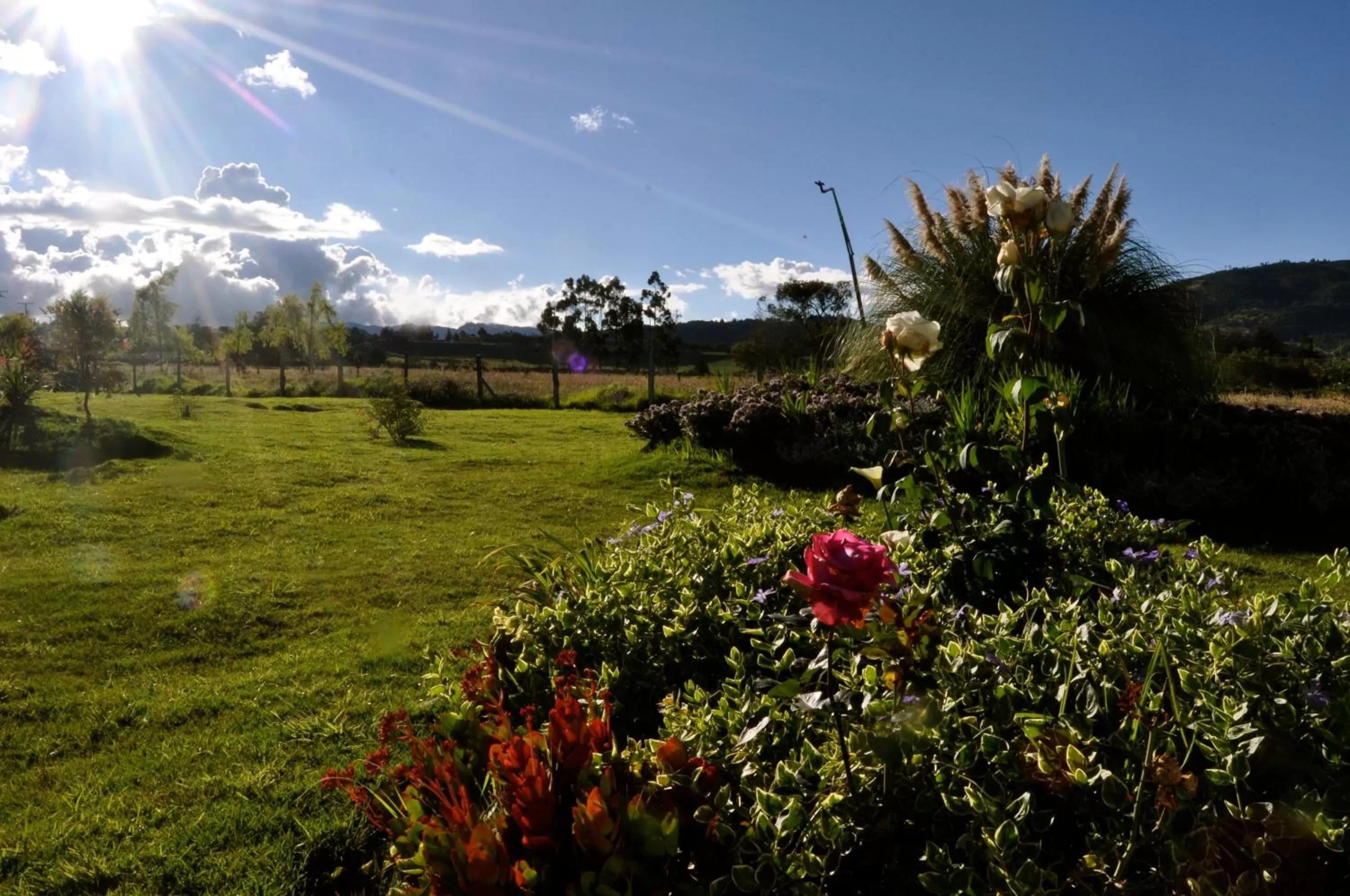 Garden in Posada Cafe La Huerta