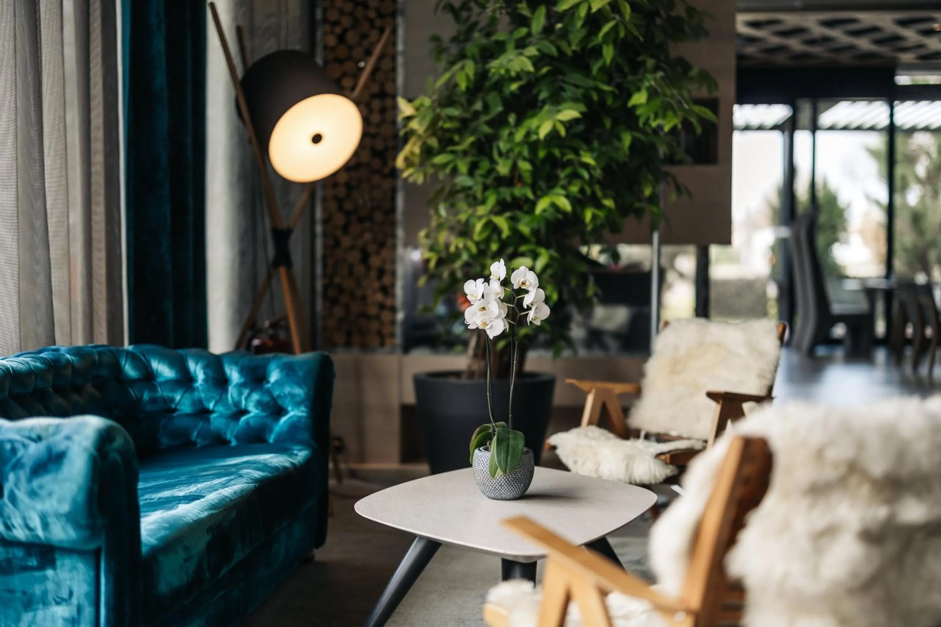 Seating area in Hotel Nox