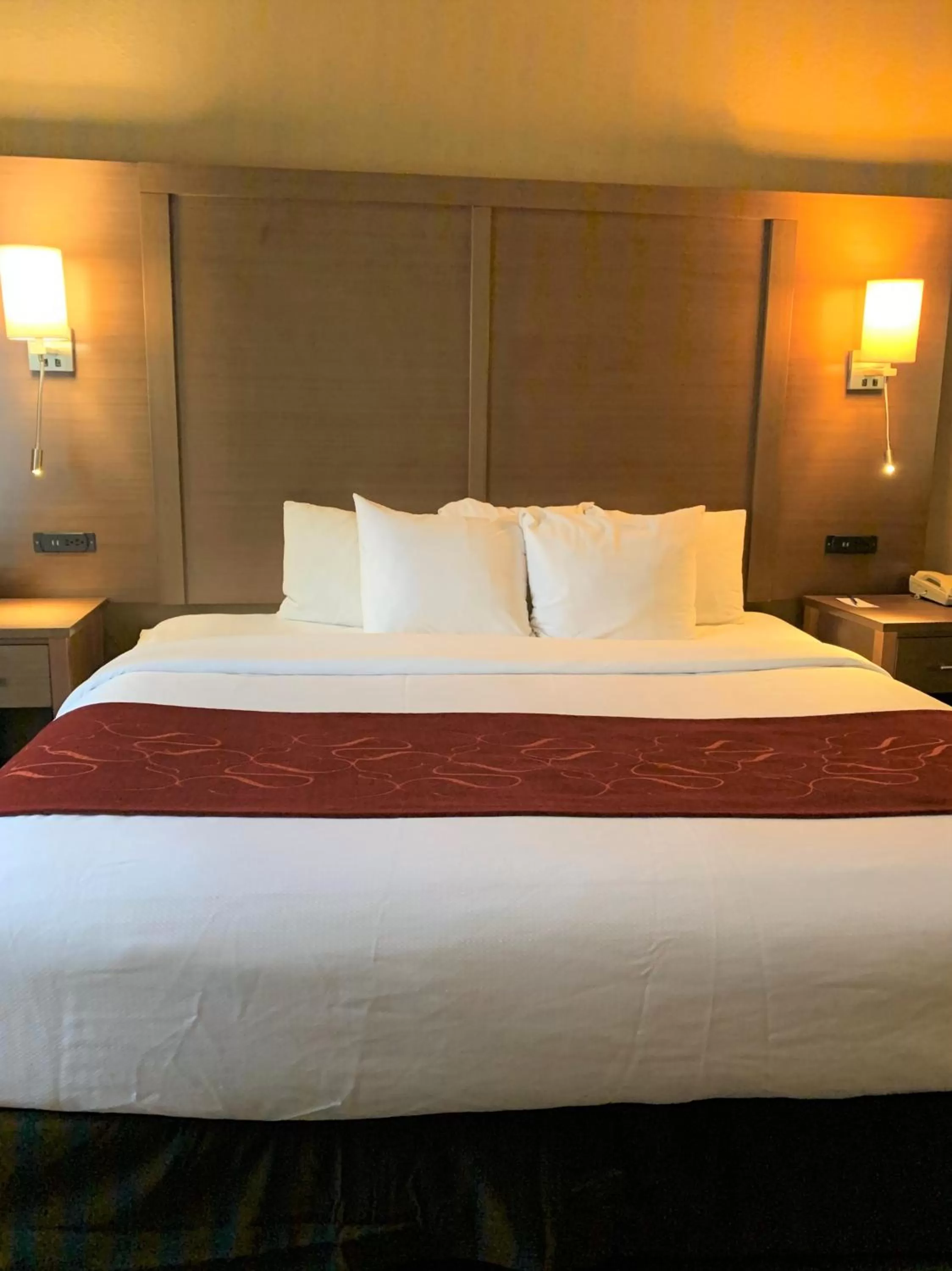 Double Suite with Two Double Beds - Accessible/Non-Smoking in Comfort Suites Bush Intercontinental Airport