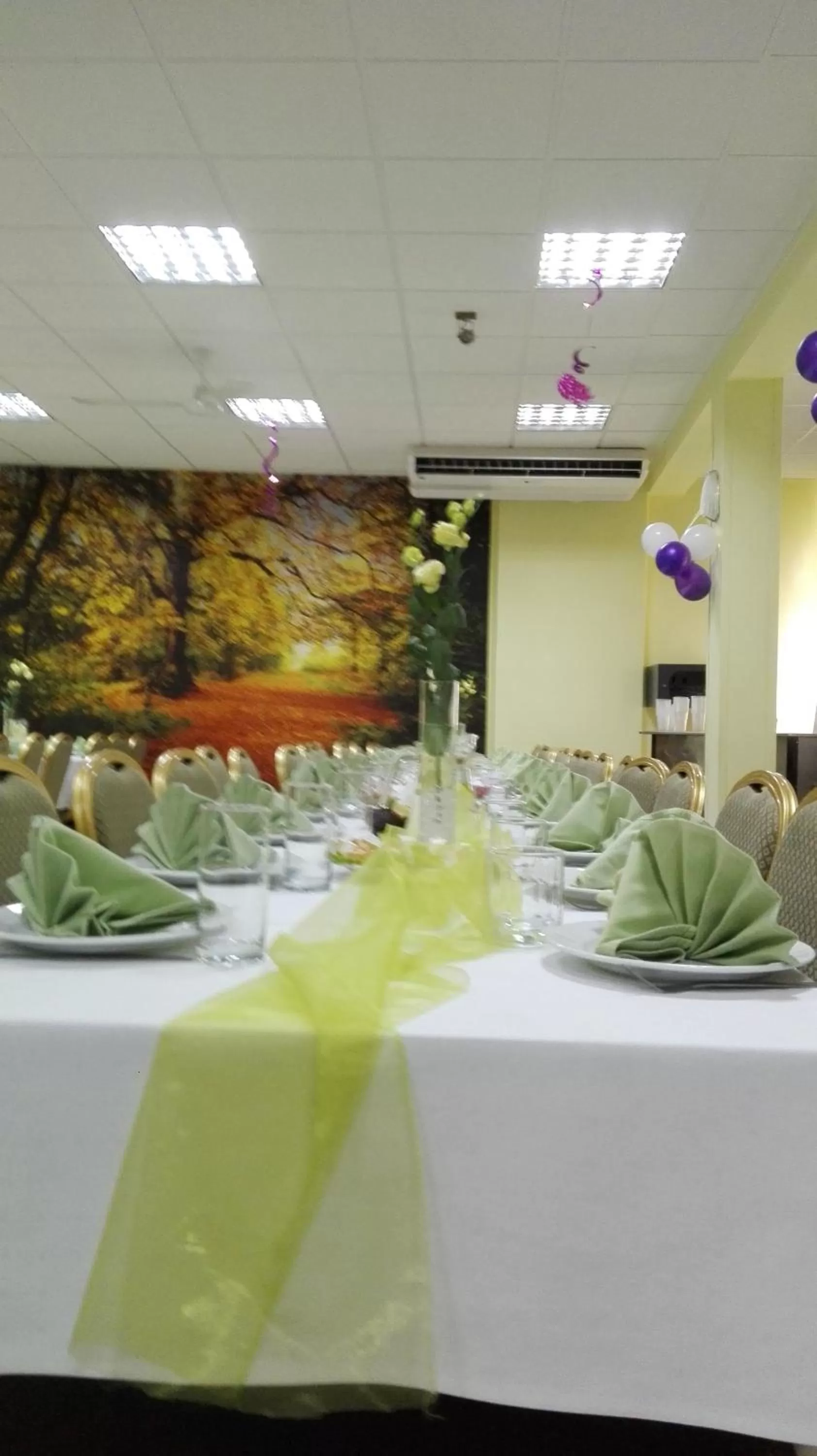 Business facilities, Banquet Facilities in HOTEL ODR