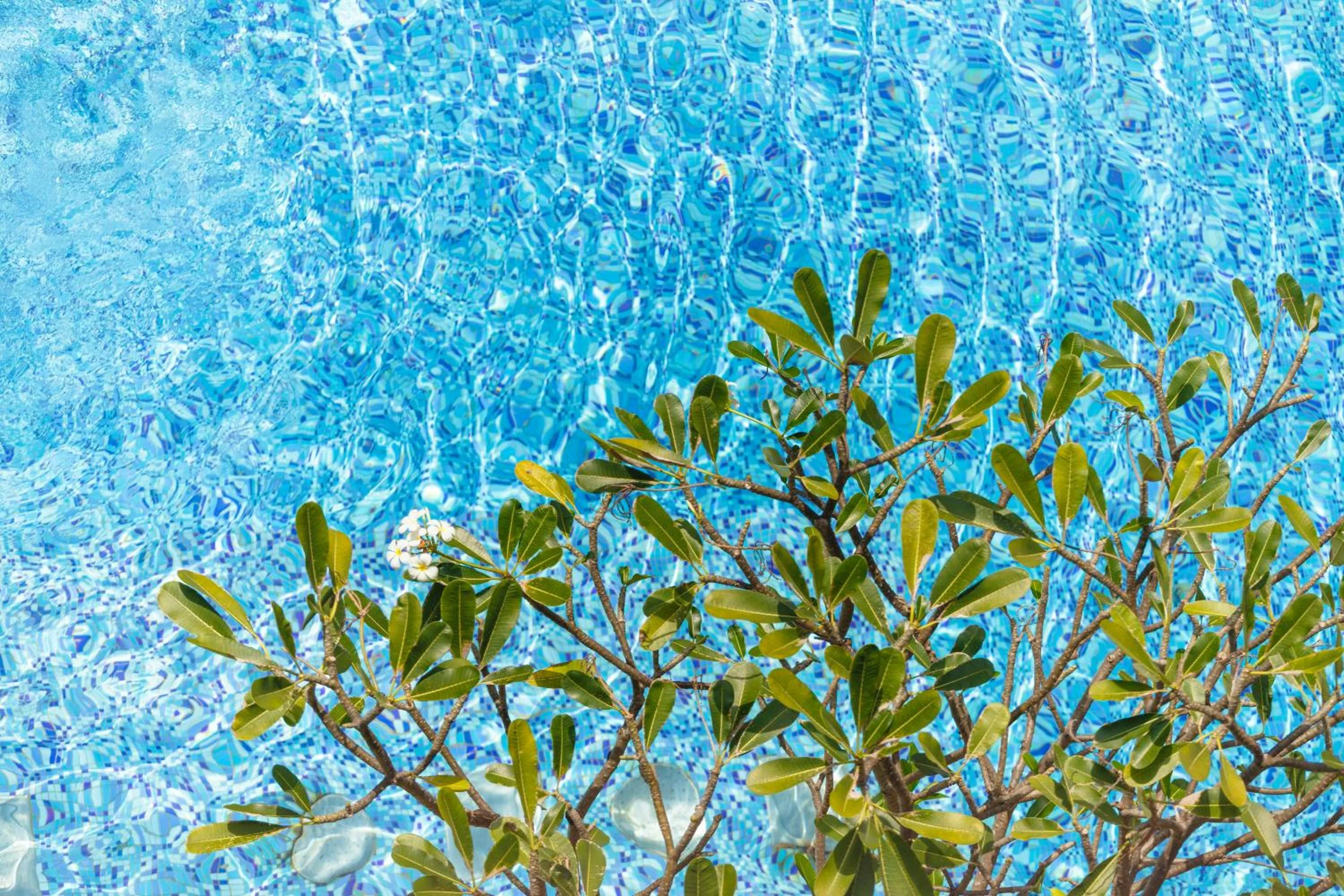 Swimming pool in Baan Laimai Beach Resort & Spa - SHA Extra Plus