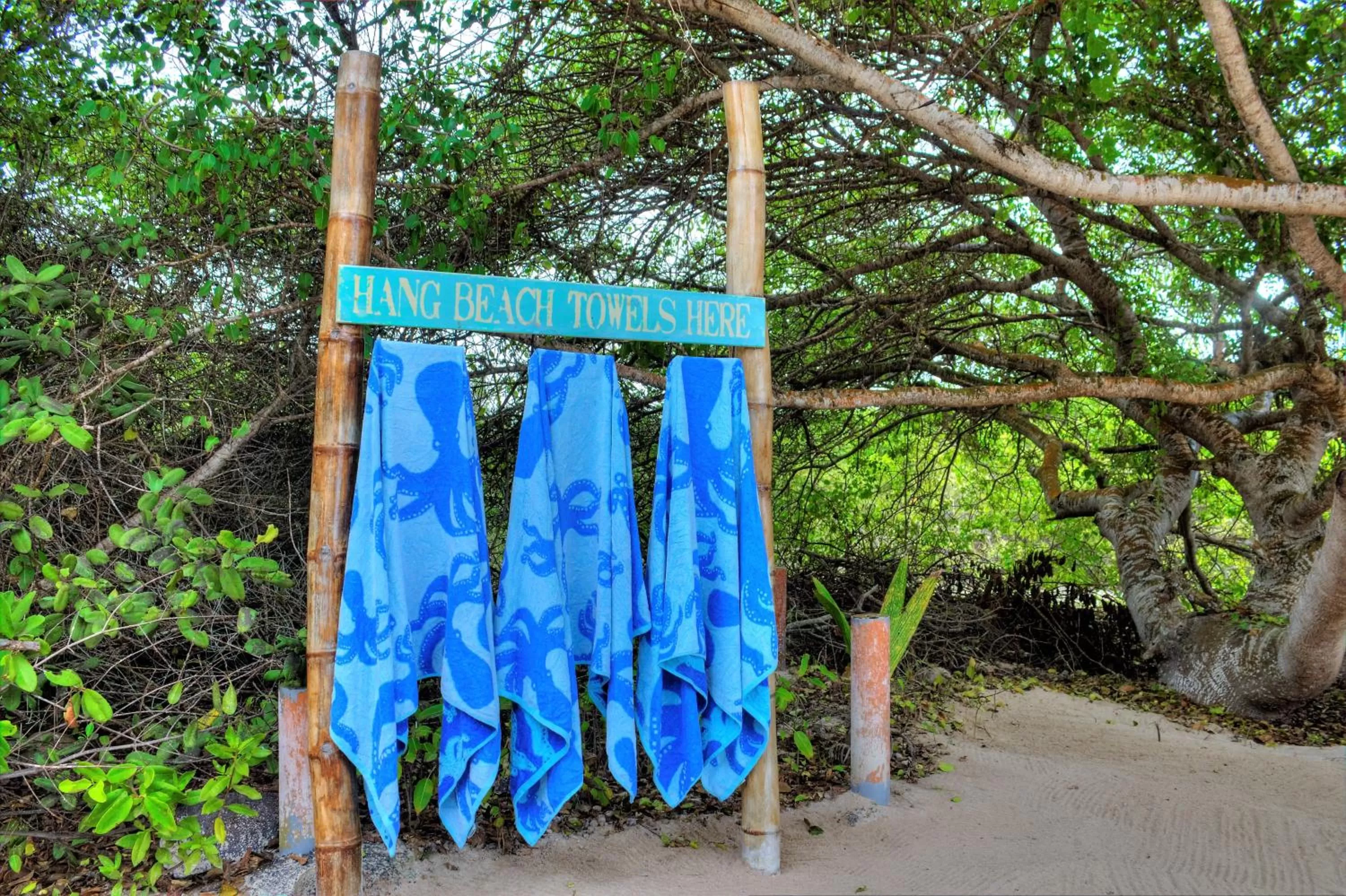 The Isabela Beach House