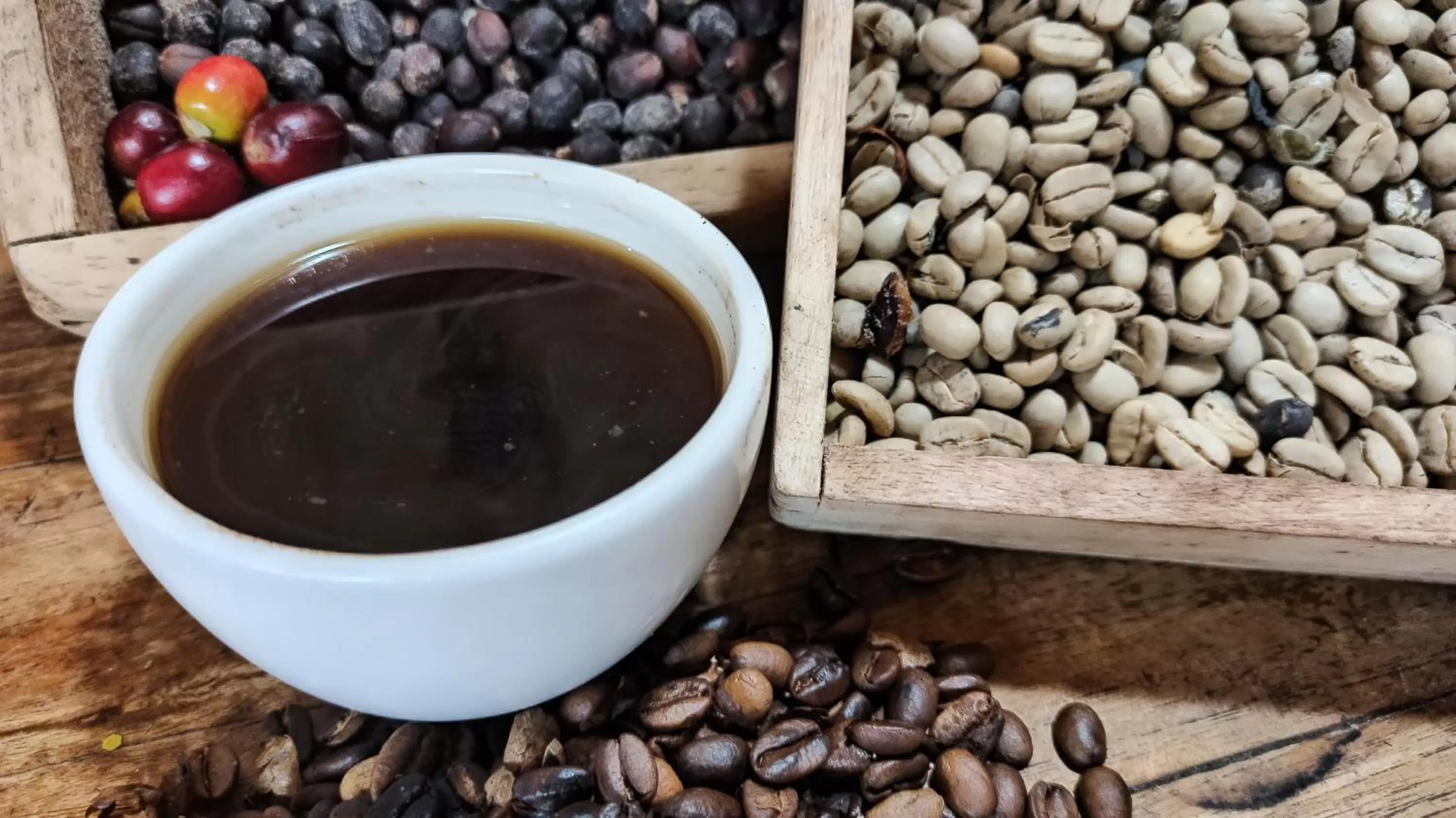 Coffee/tea facilities in TREE TREK BOQUETE Adventure Park