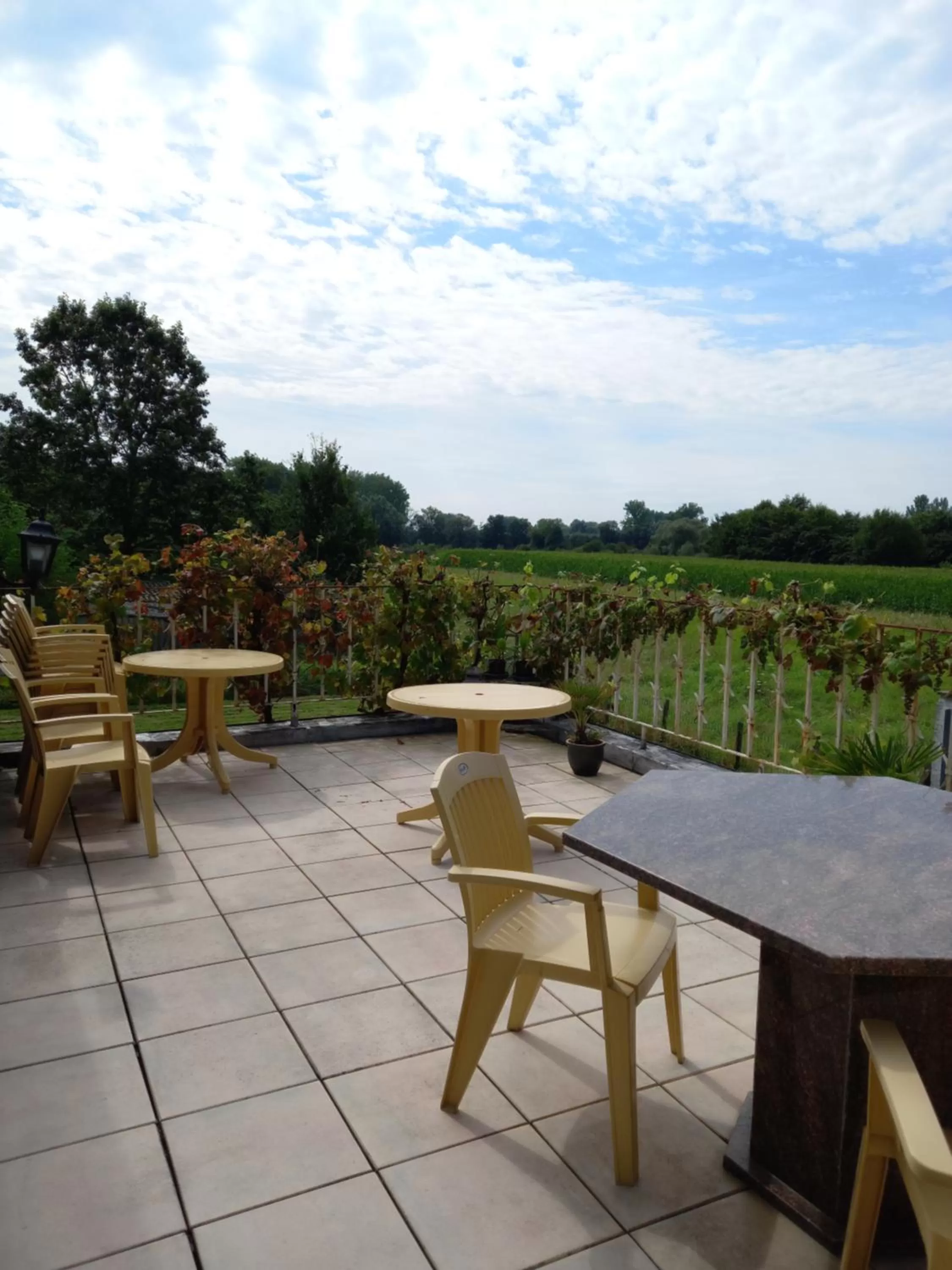 Balcony/Terrace in B&B Aalsters genot