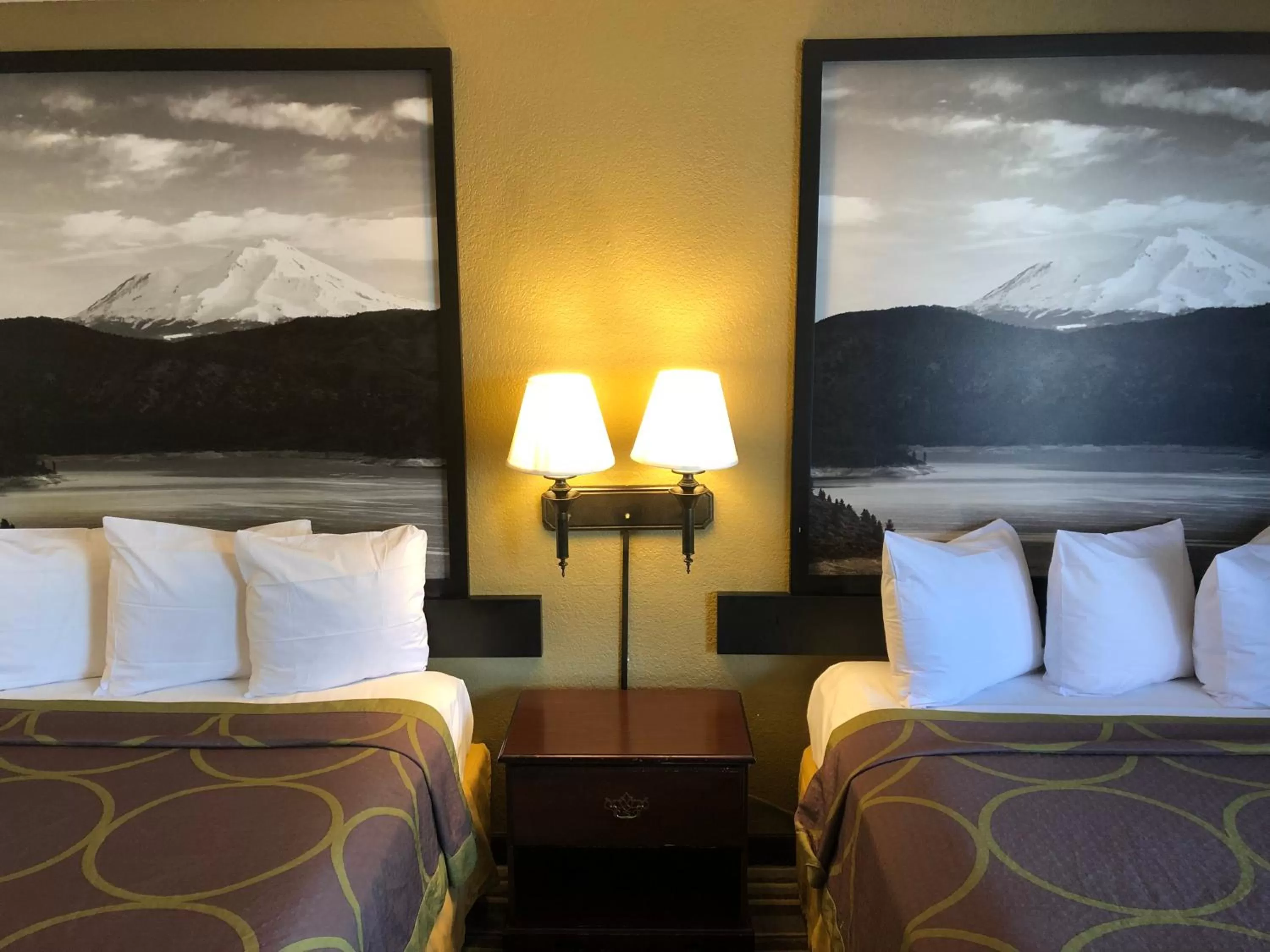 Bed in Super 8 by Wyndham Corning