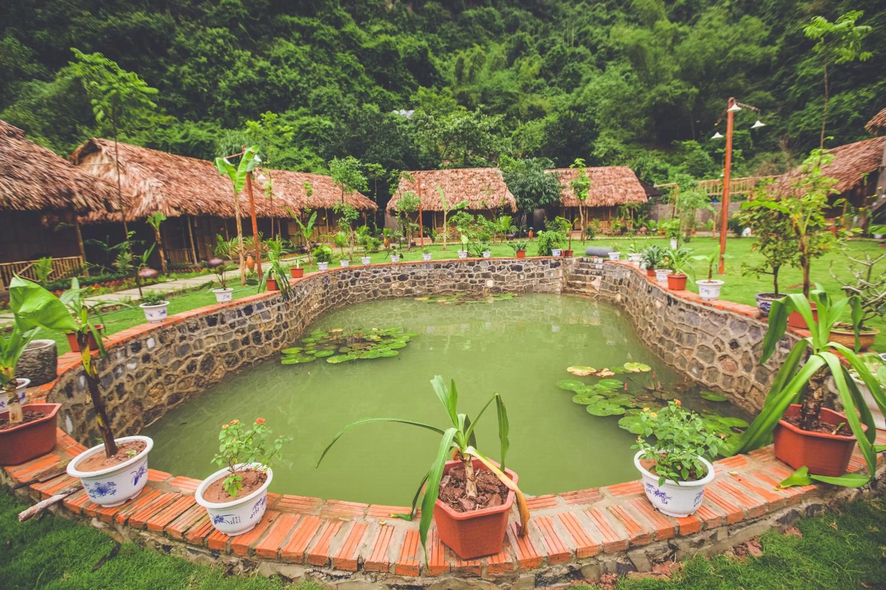 Day in Tam Coc Rice Fields Resort