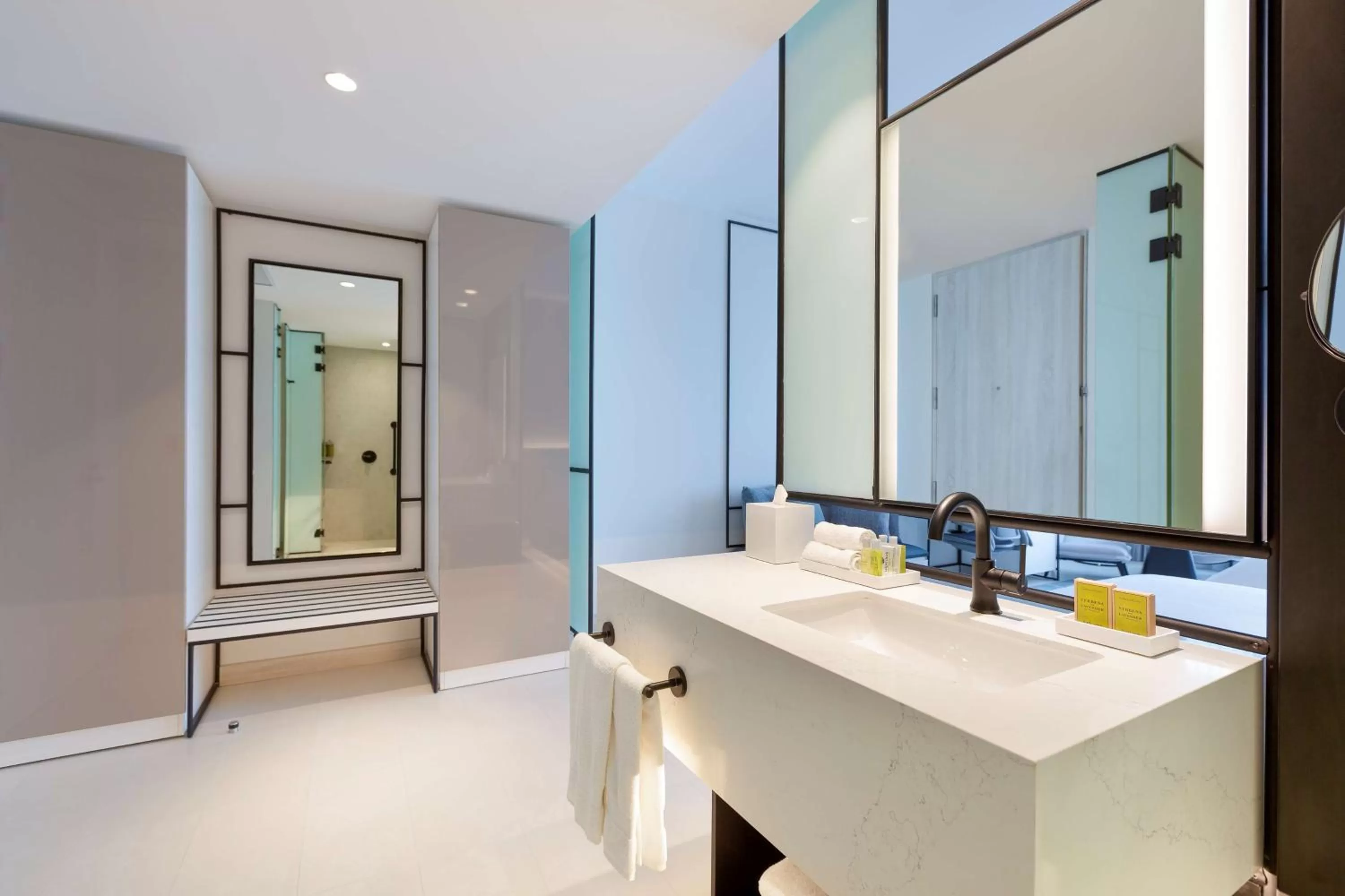 Bathroom in Hilton San Jose La Sabana