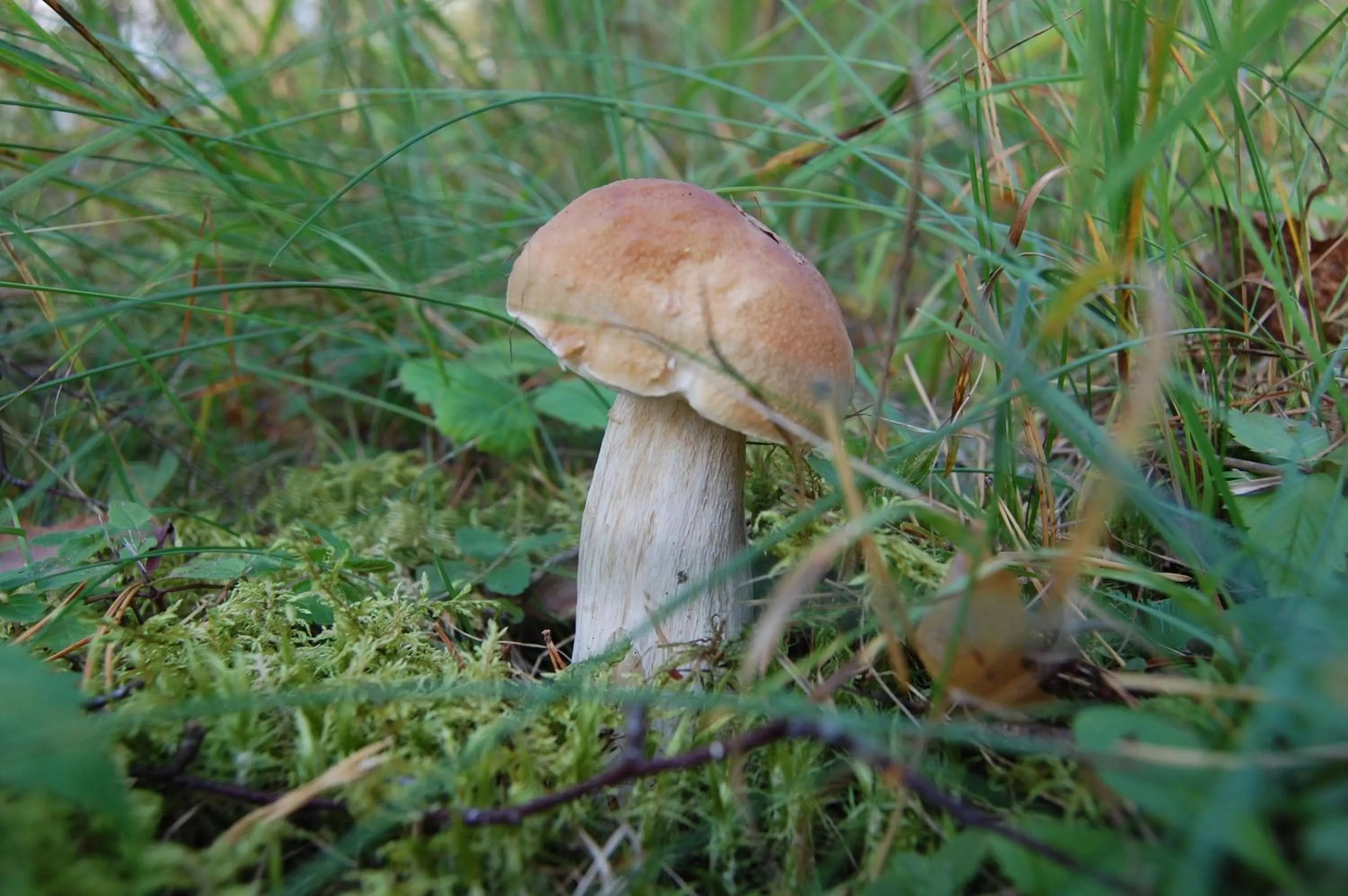 Hiking in Kuhasensaari Lomakeskus