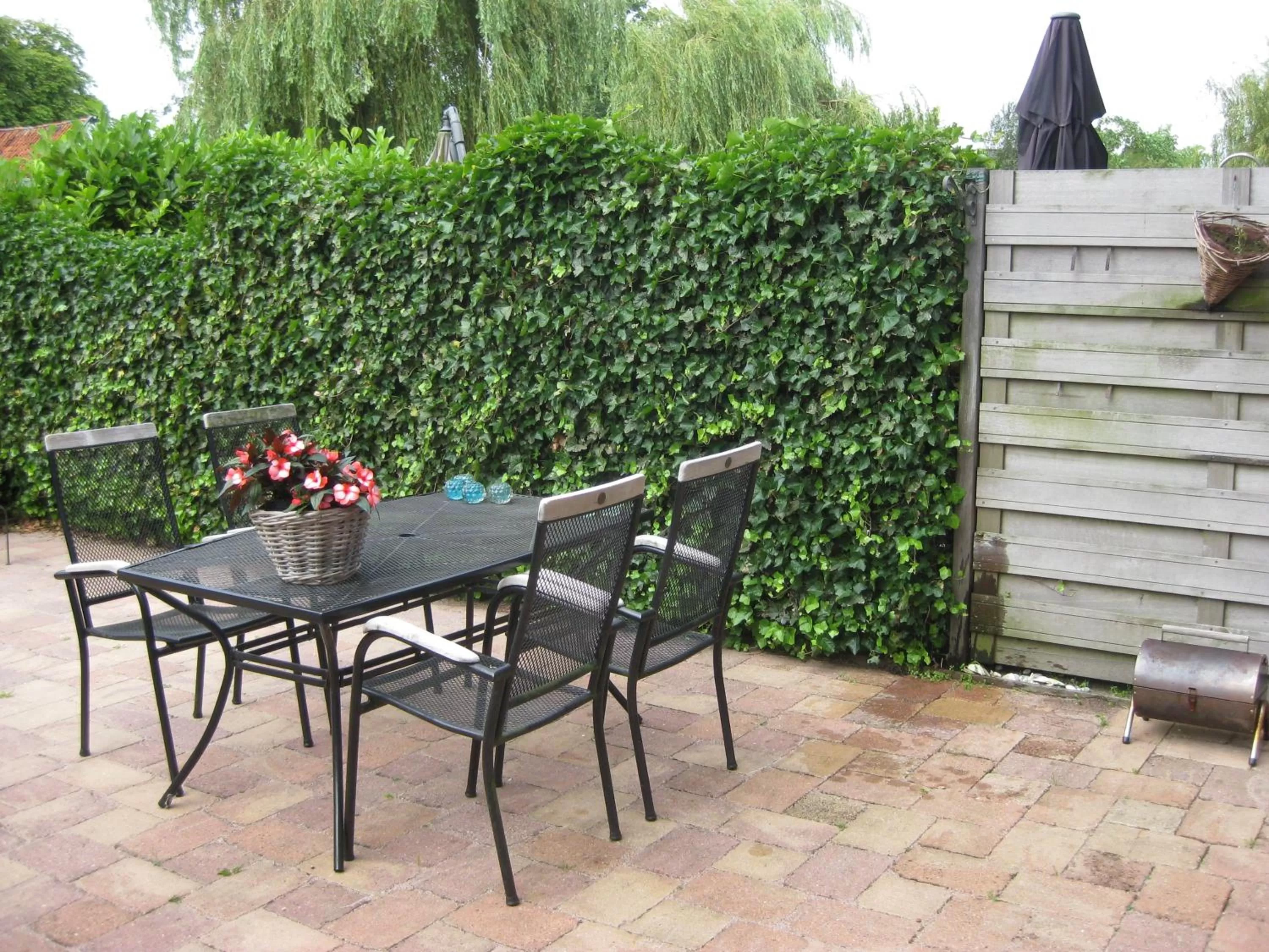 Garden in Quarenta Studio