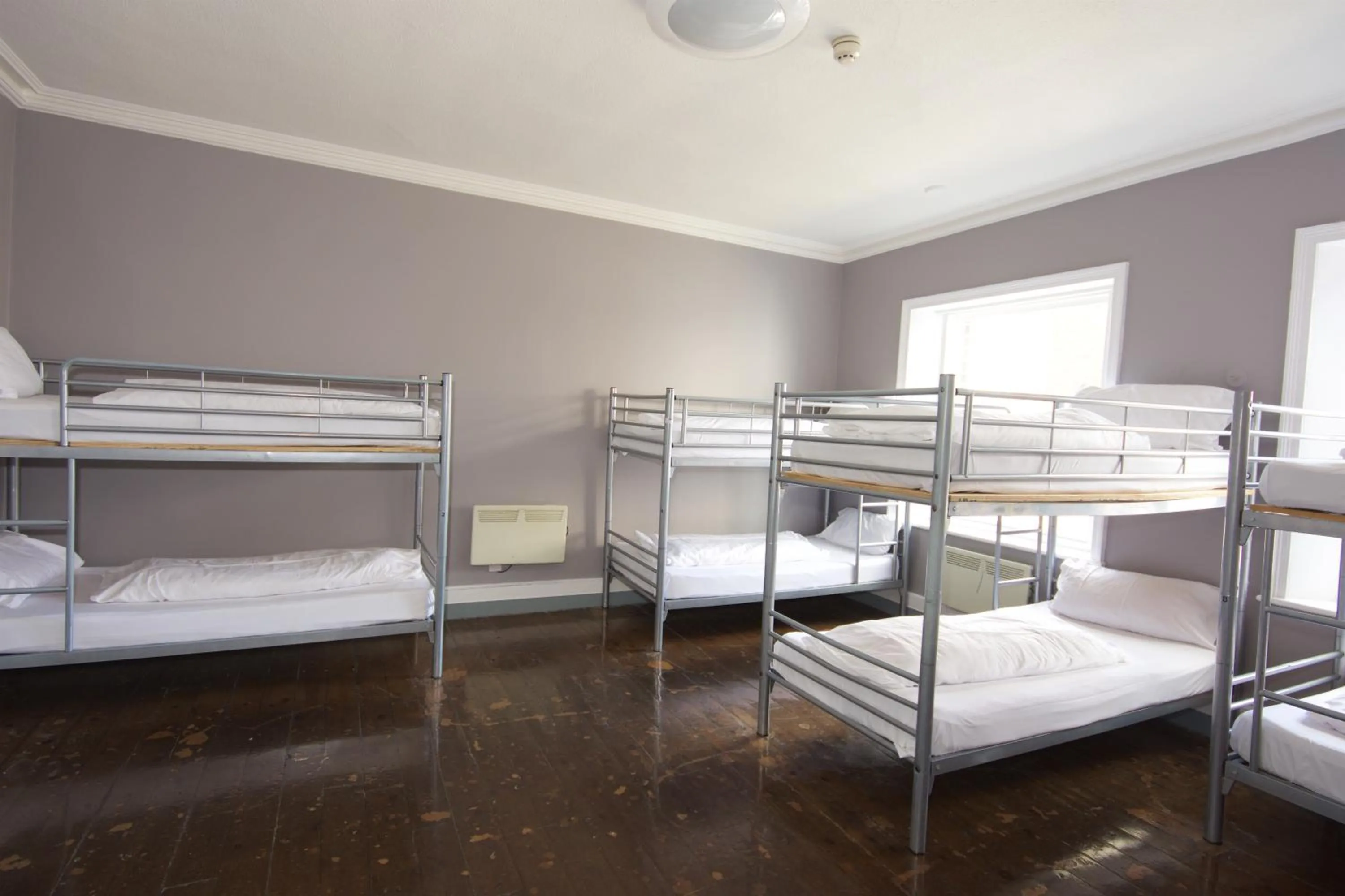 Bedroom, Bed in Albatross Hostel