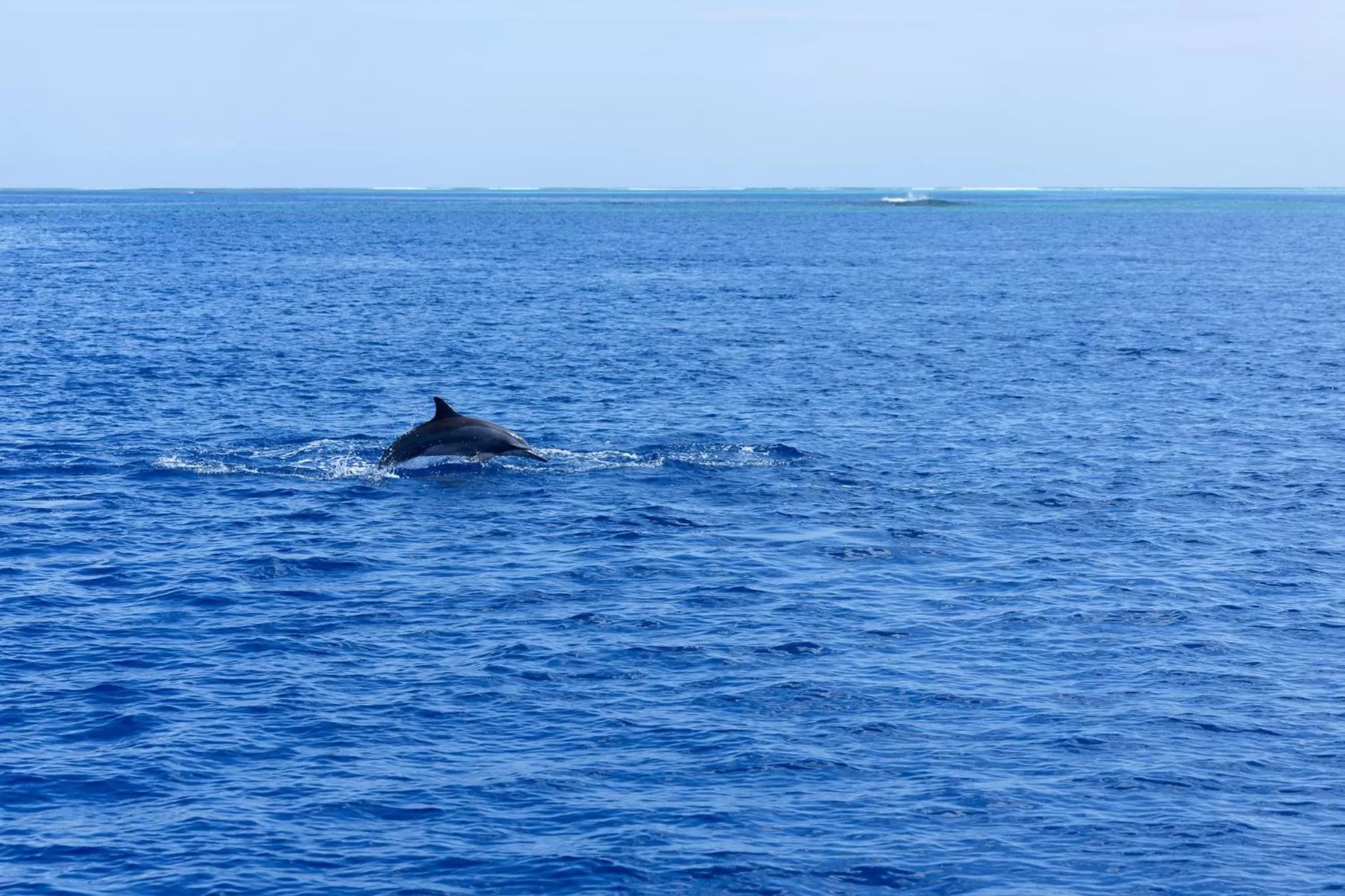 Day in Canareef Resort Maldives