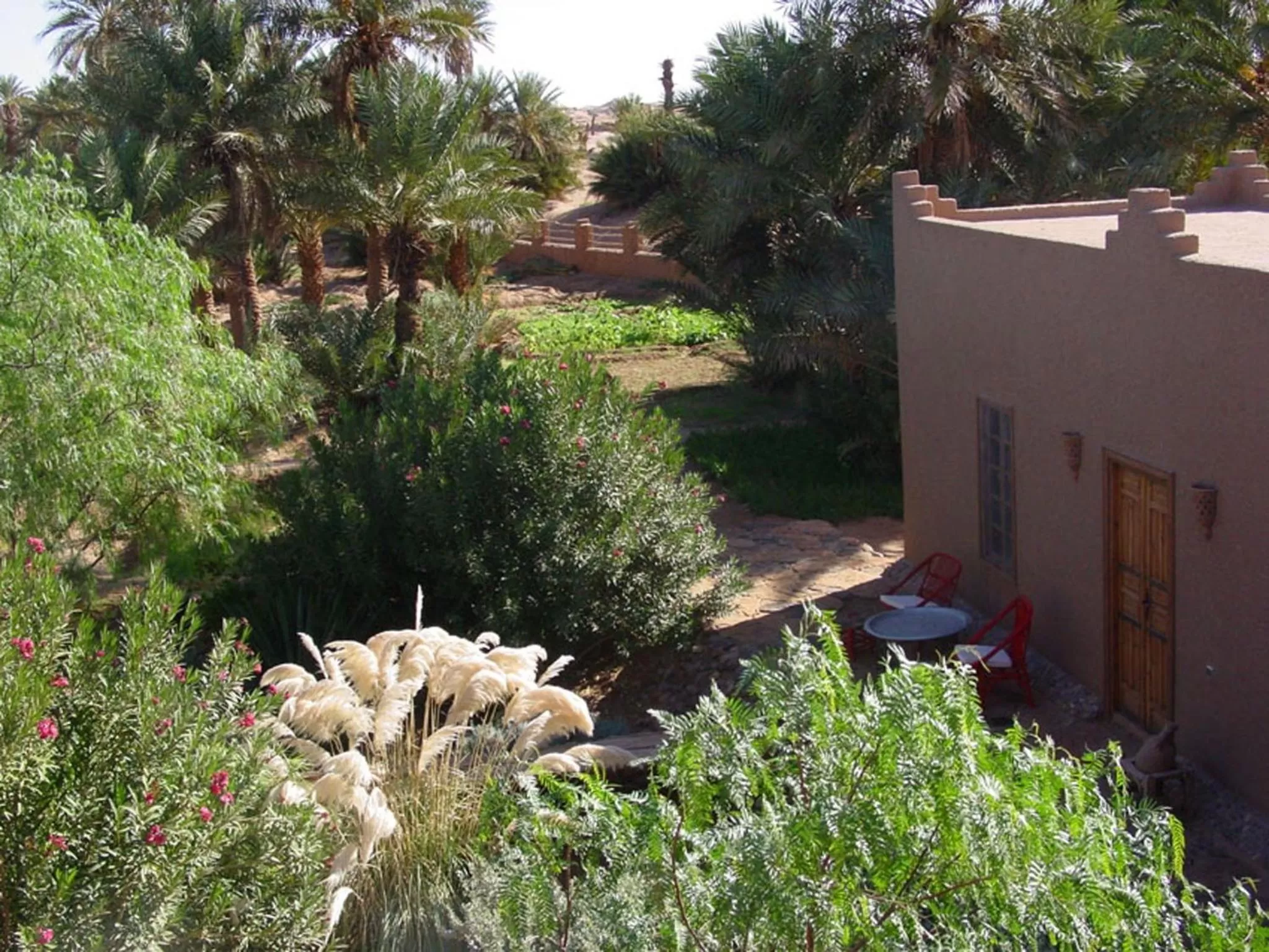 Area and facilities in Dar Paru