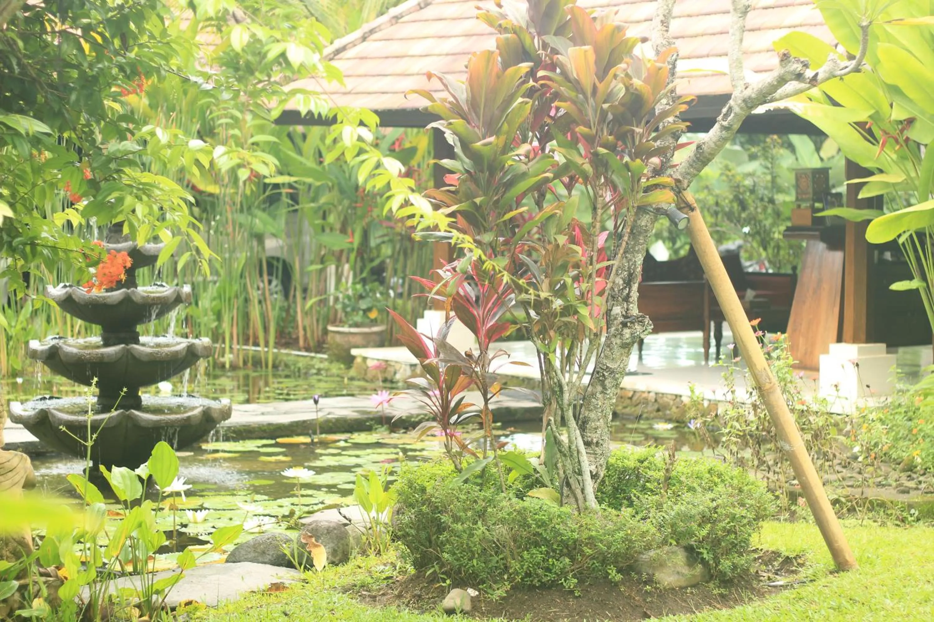 Garden in BeingSattvaa Luxury Ubud