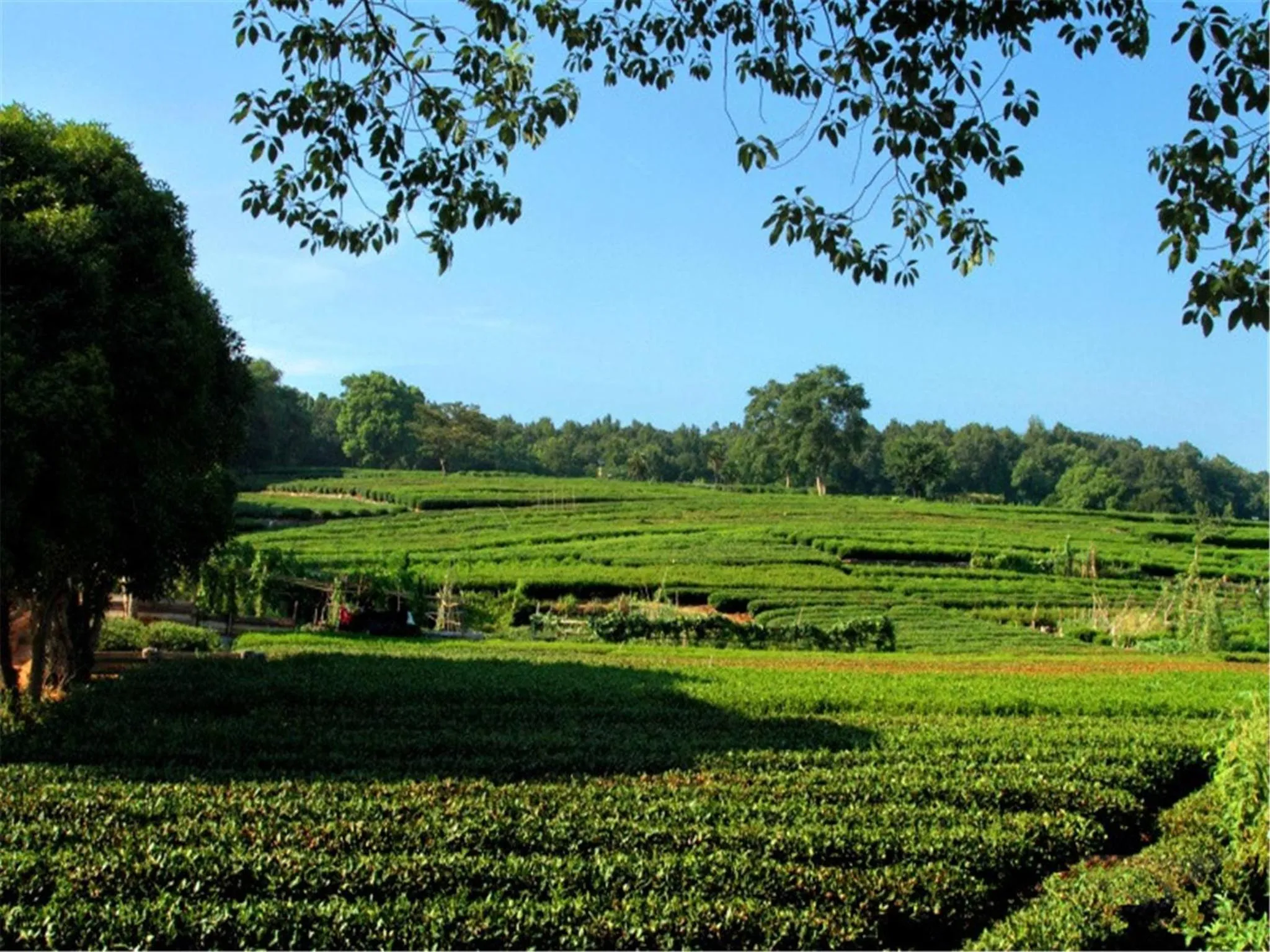 Nearby landmark in Yurong West Lake Cottage Resort Hotel Hangzhou
