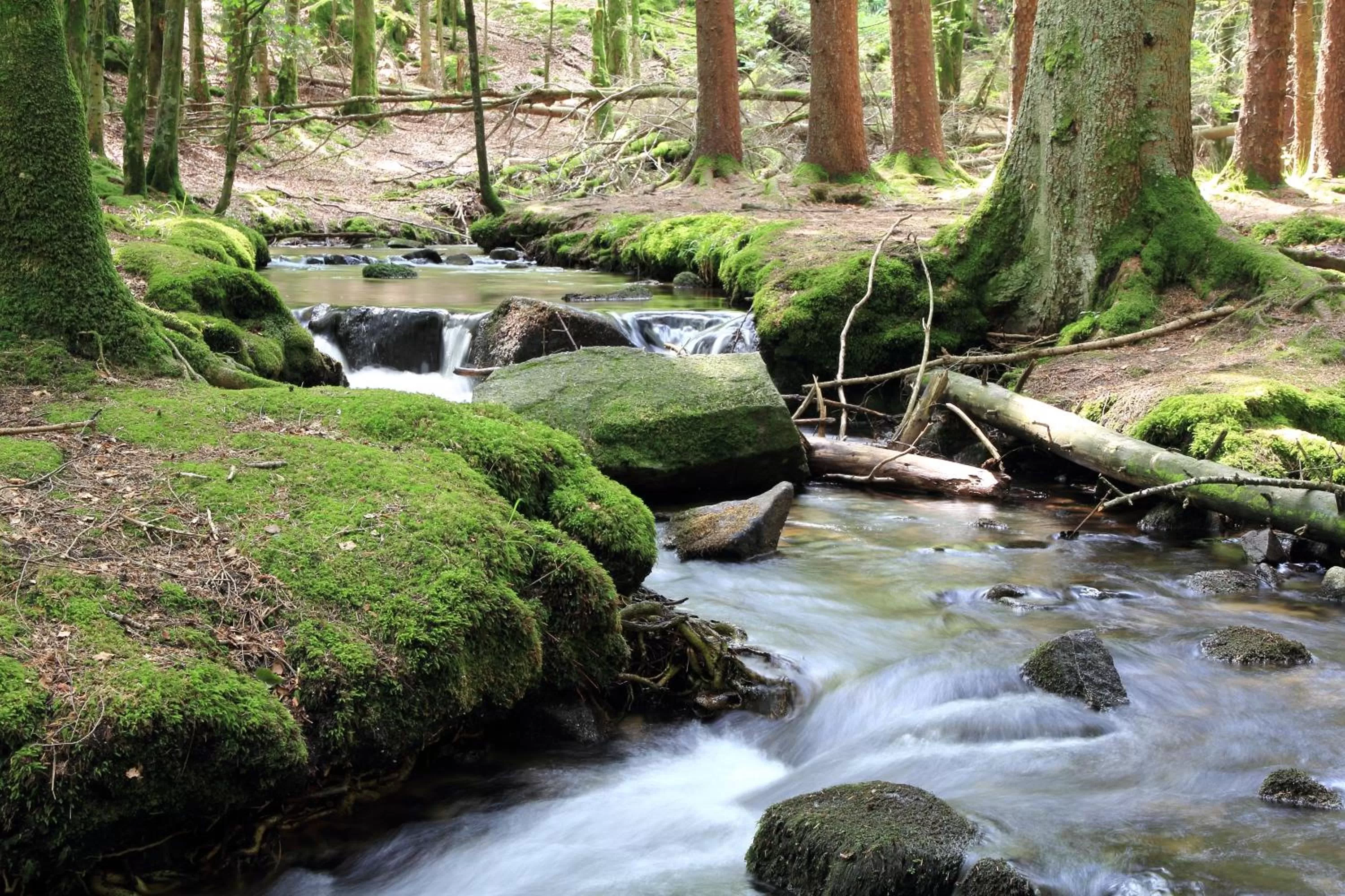 Activities, Natural Landscape in Résidence des Châteaux