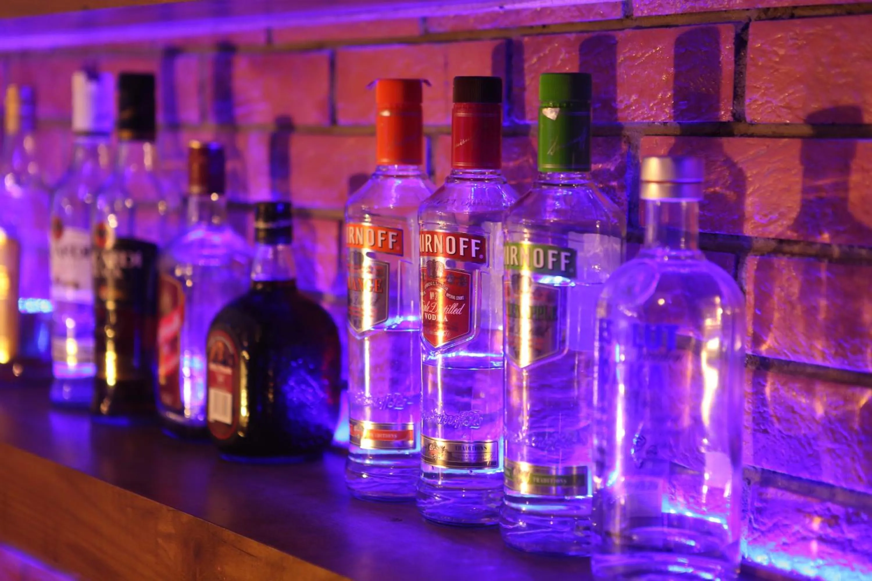 Lounge or bar in Hotel Kamla Palace