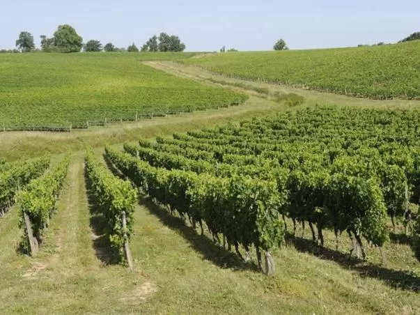 Other in Chateau La France