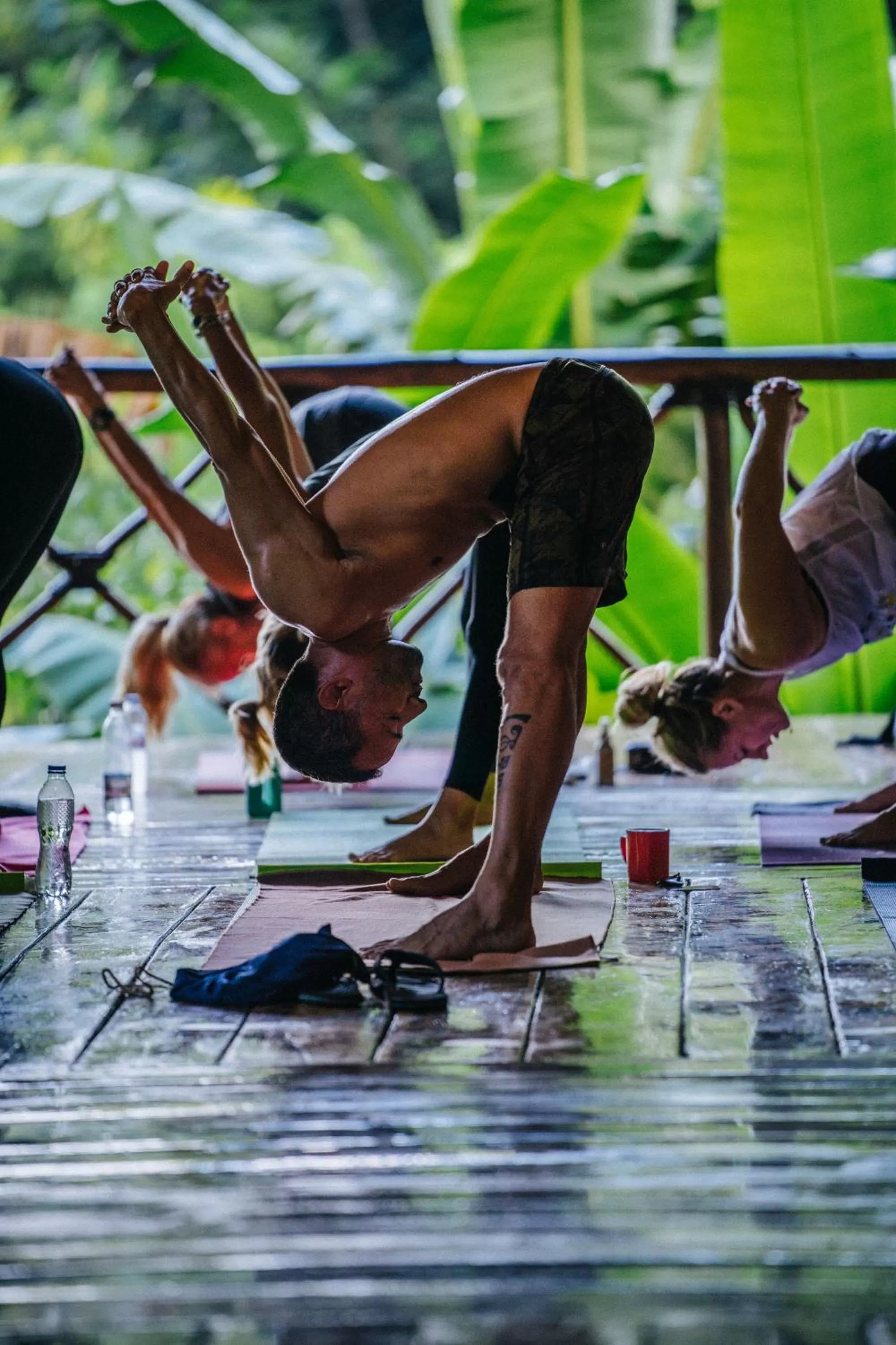 Dominican Tree House Village