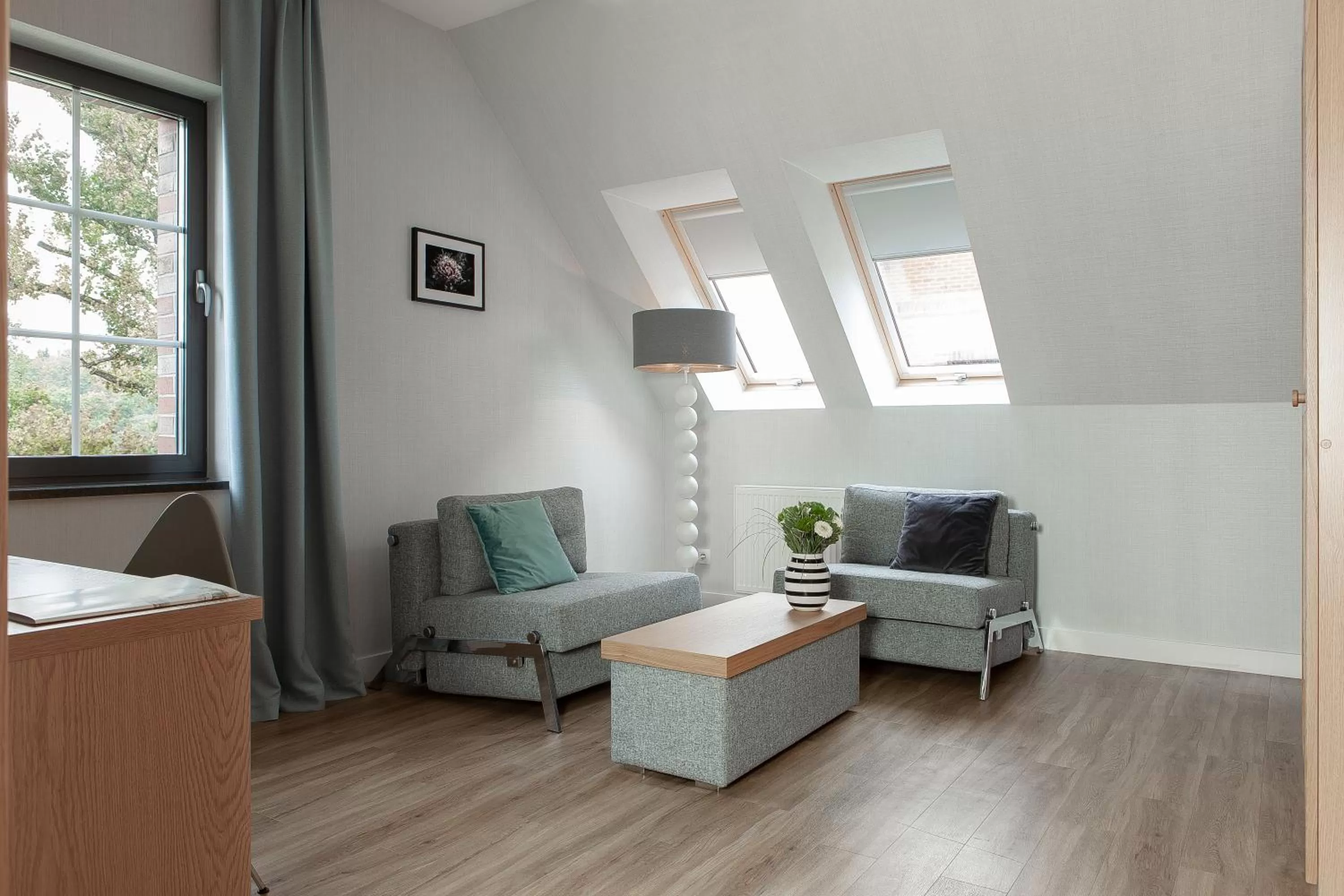 TV and multimedia in Leśny Dwór