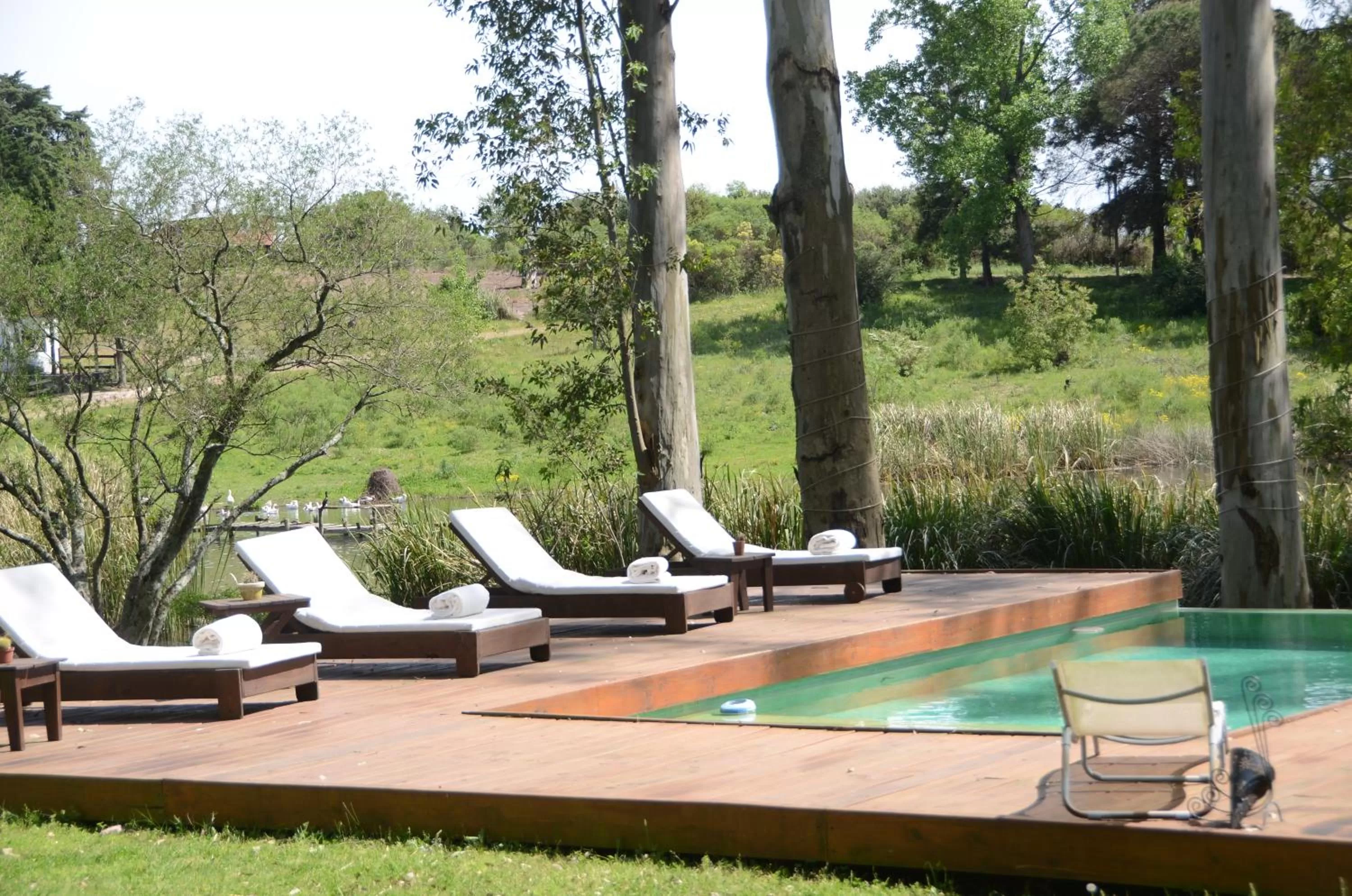 Swimming Pool in Al Natural Posada